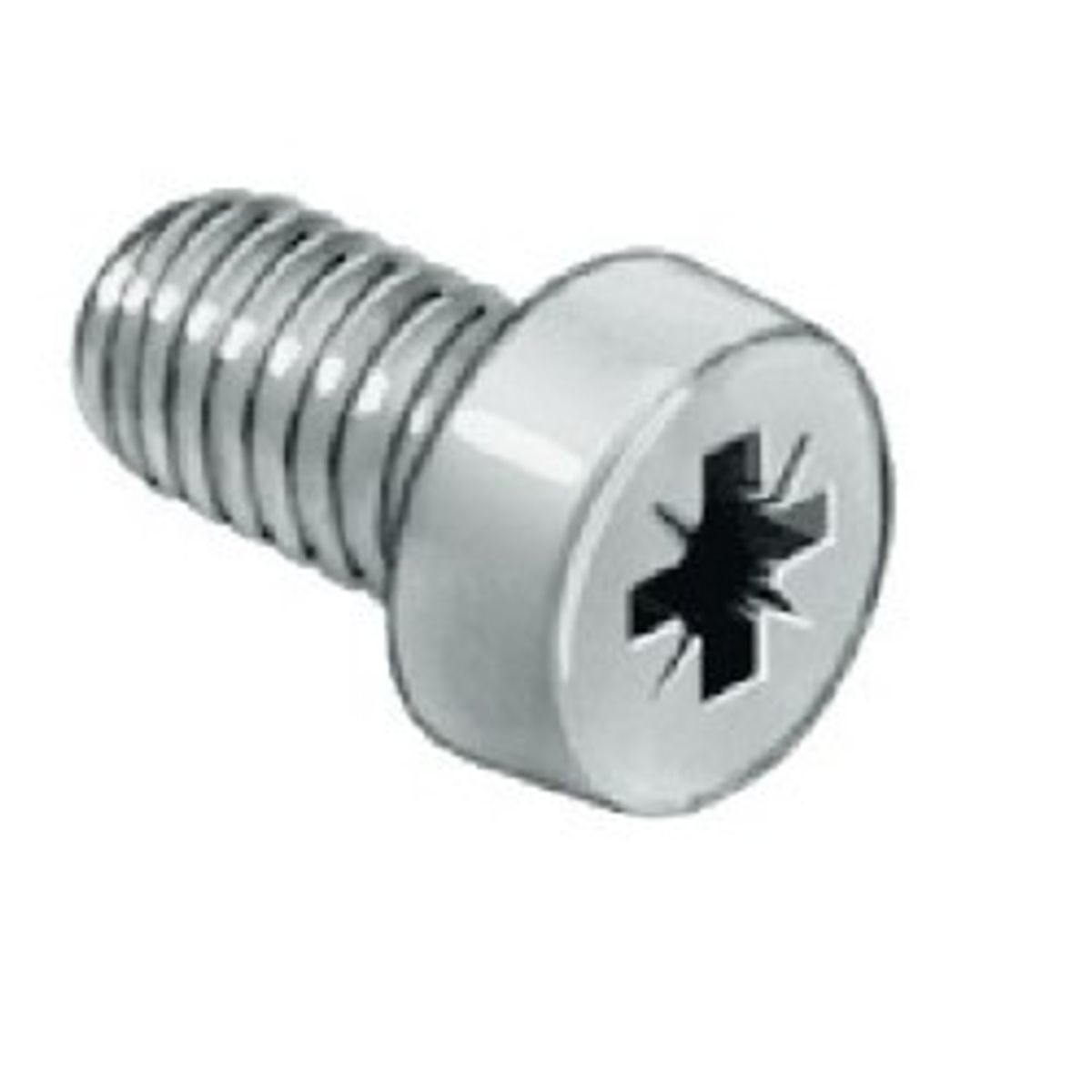 Cylinderhovedskrue M6 x 10 mm