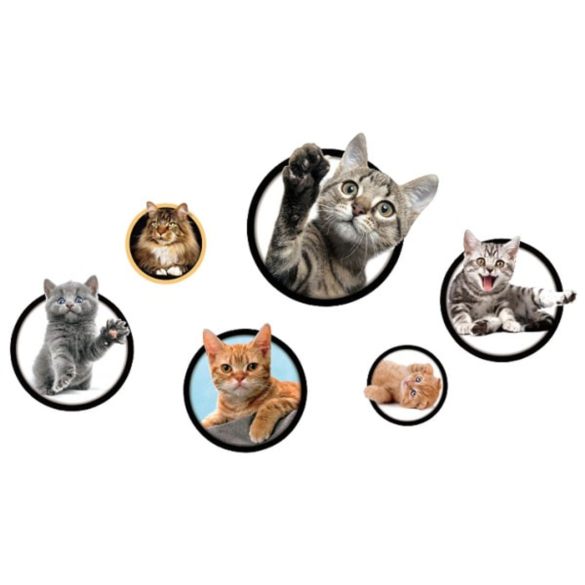 Katte wallsticker. 6 søde kattekillinger.