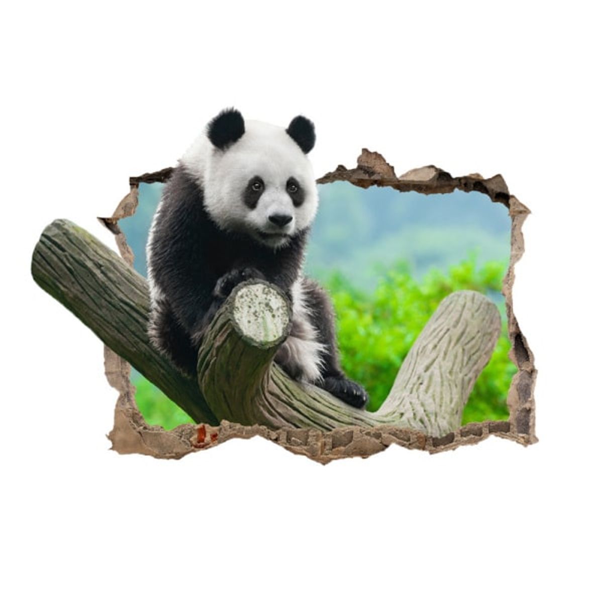 Sød Panda wallsticker. Hul i væggen. 50x70cm