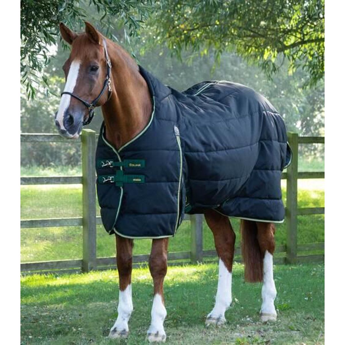 Premier Equine Lucanta Demi Stable 450g - 6,9" (155cm)