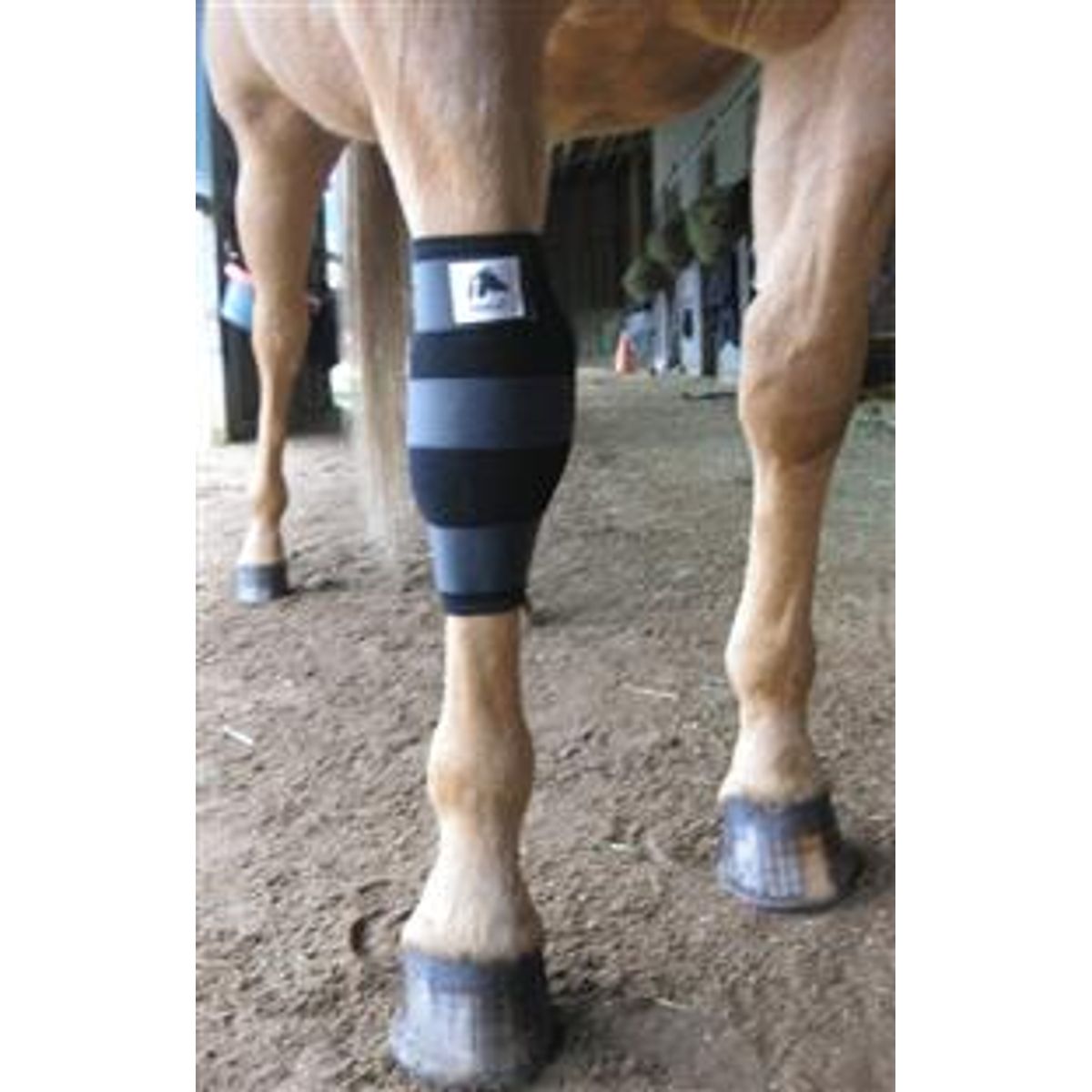 Fenwick Equestrian Liquid Titanium® knævarmere - Par