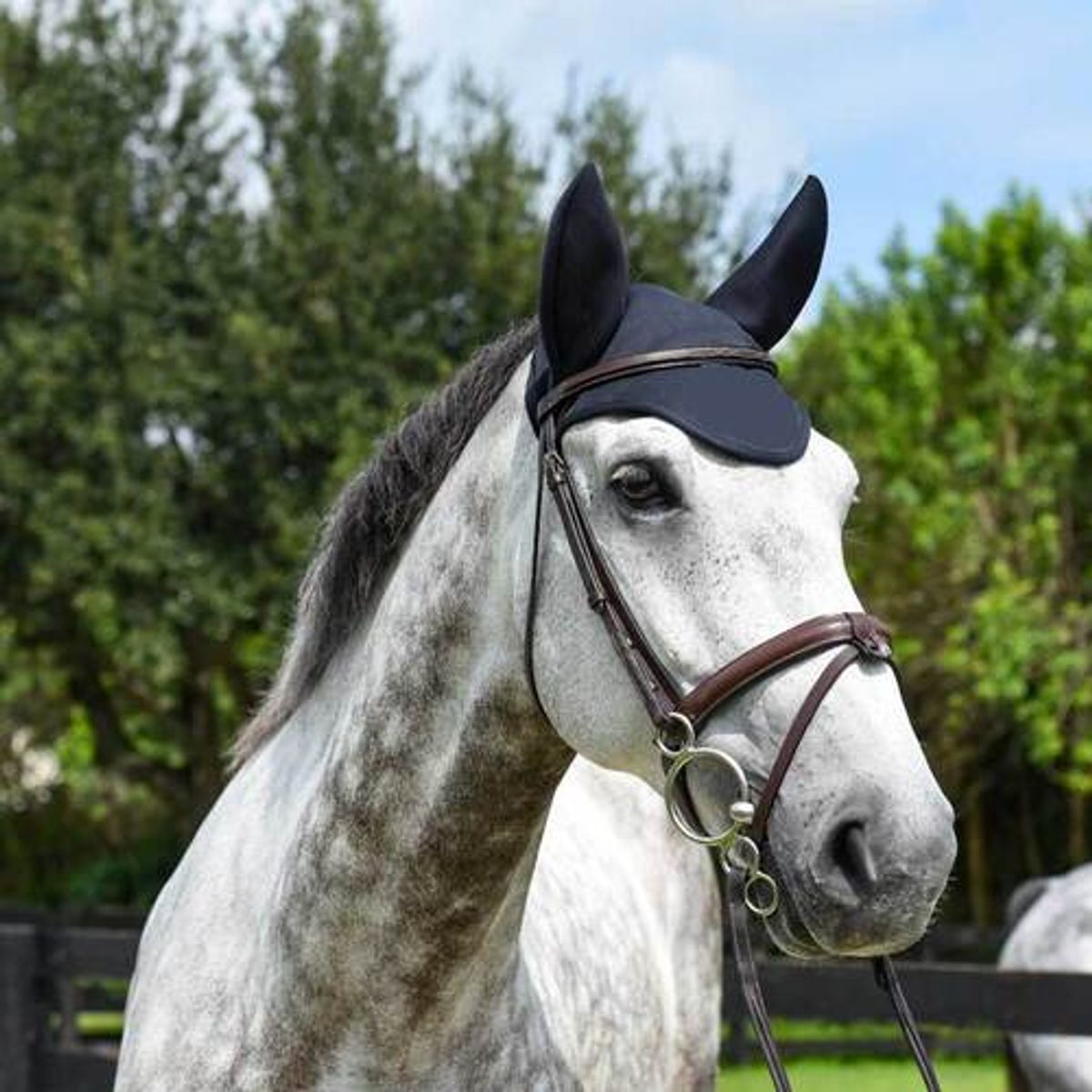 Fenwick Equiestrian Liquid Titanium® hut med lydreducerende ører - M Cob