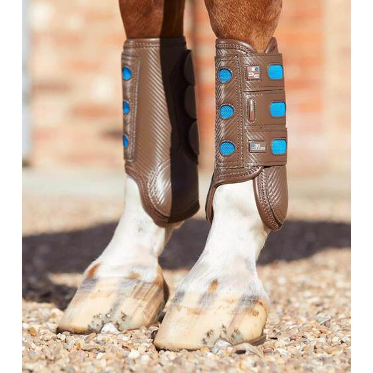 Premier Equine Carbon Tech Air Cooled Eventing gamacher - Forben - Brun, S