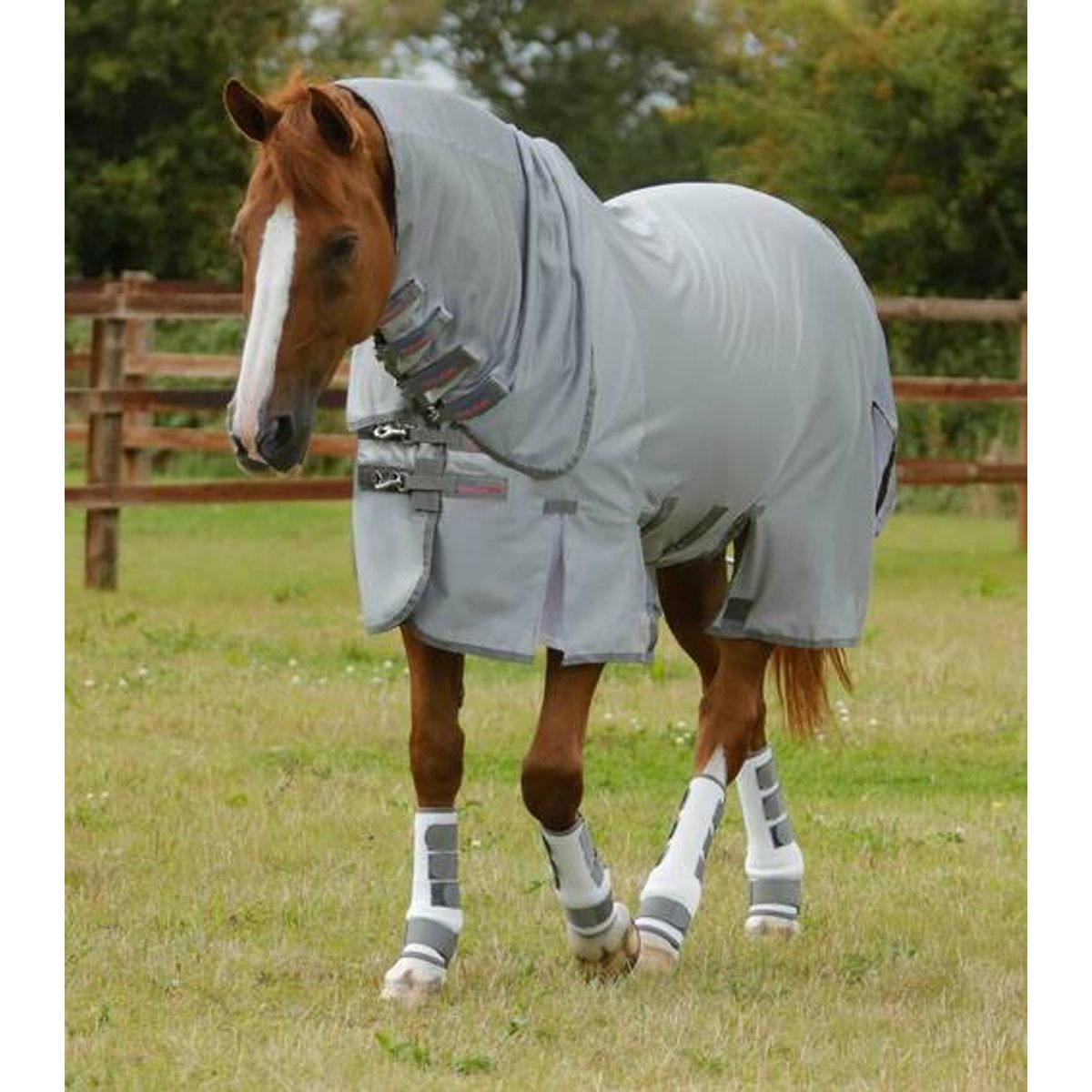 Premier Equine Bug Buster insekt dækken med maveklap - 5,9" (130cm)