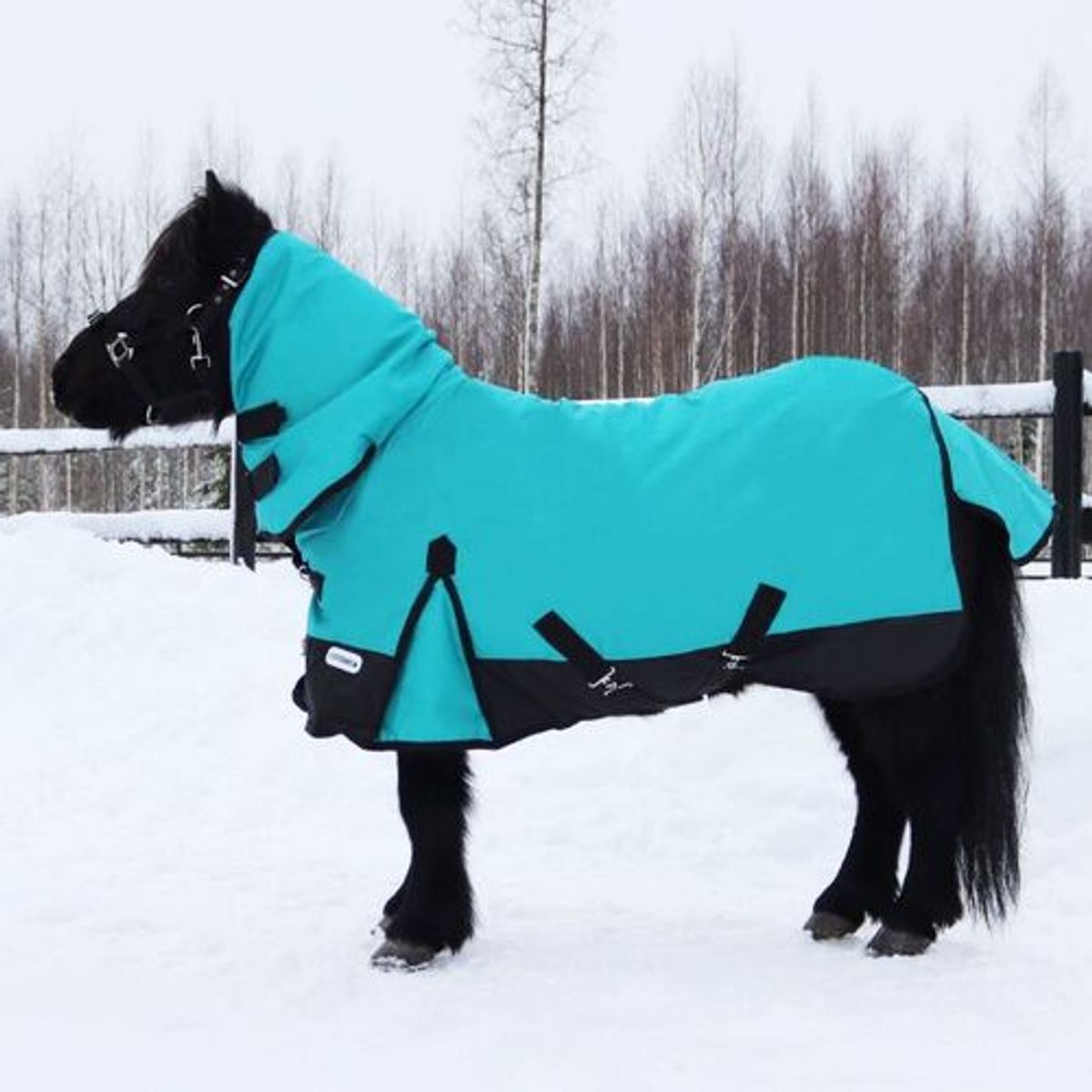 Coverme Pony dækken med hals - 100g - Turkis, 105cm