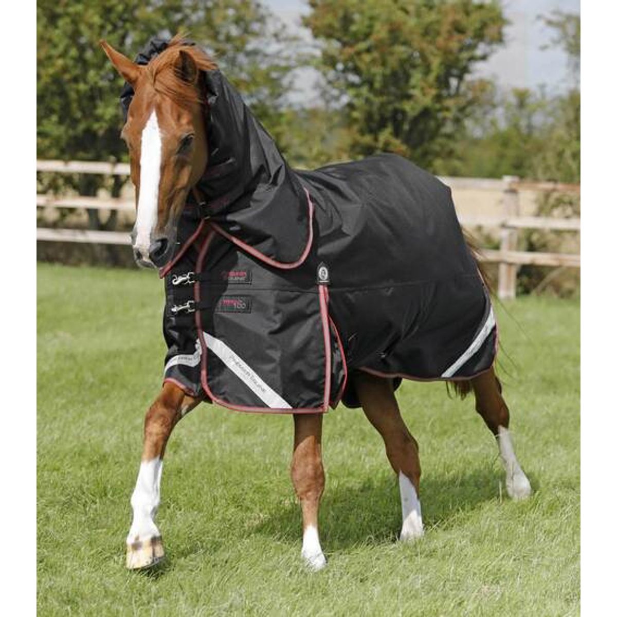 Premier Equine Titan Trio dækken - Sort - 5,6 125cm