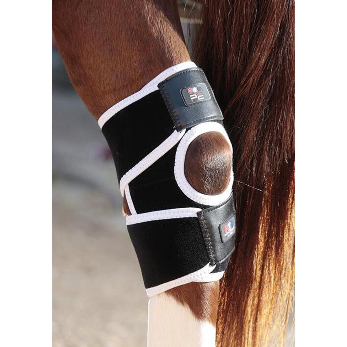 Premier Equine Magni-Teque Magnet hase bandage - Par