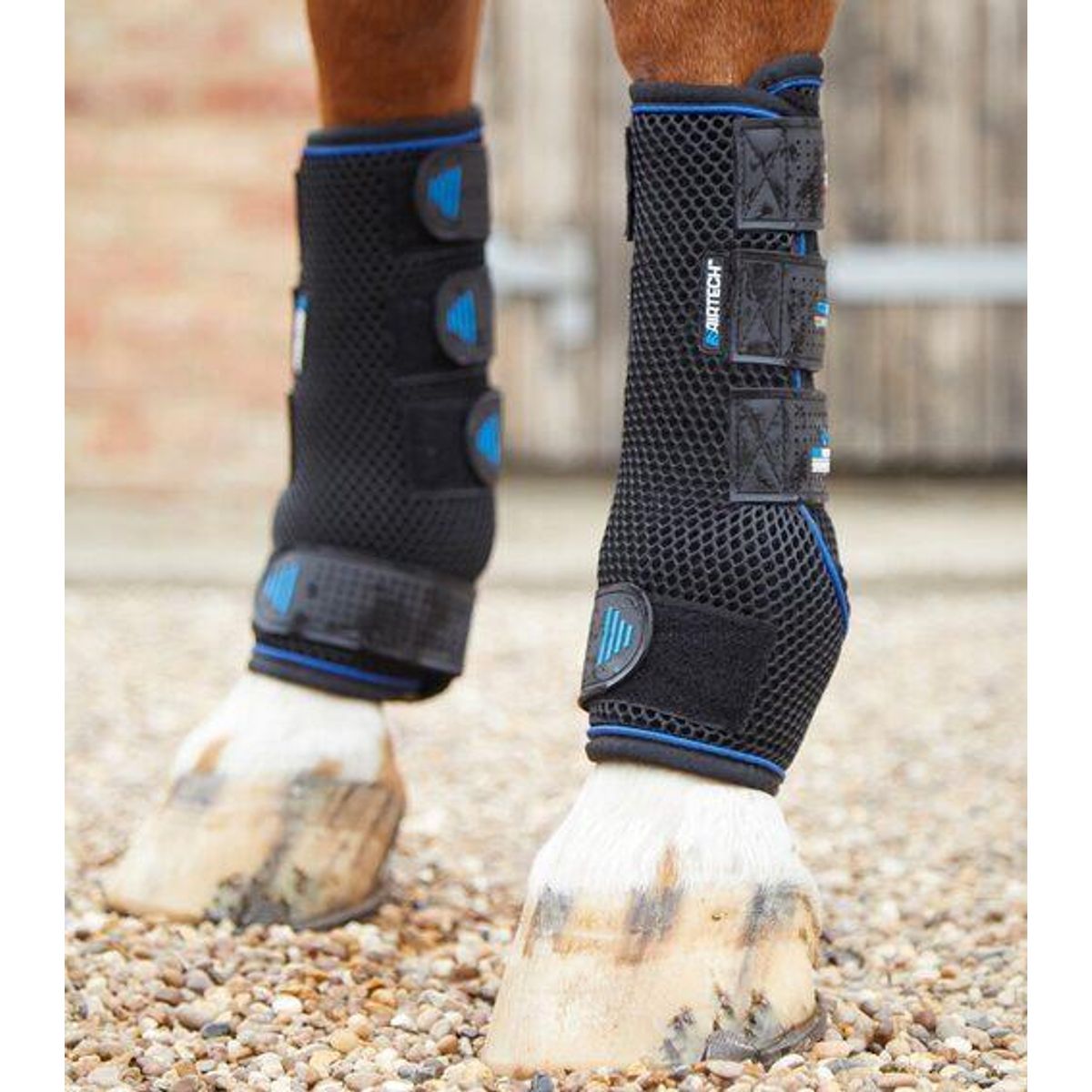 Premier Equine Cold Water Compression Boots - XL