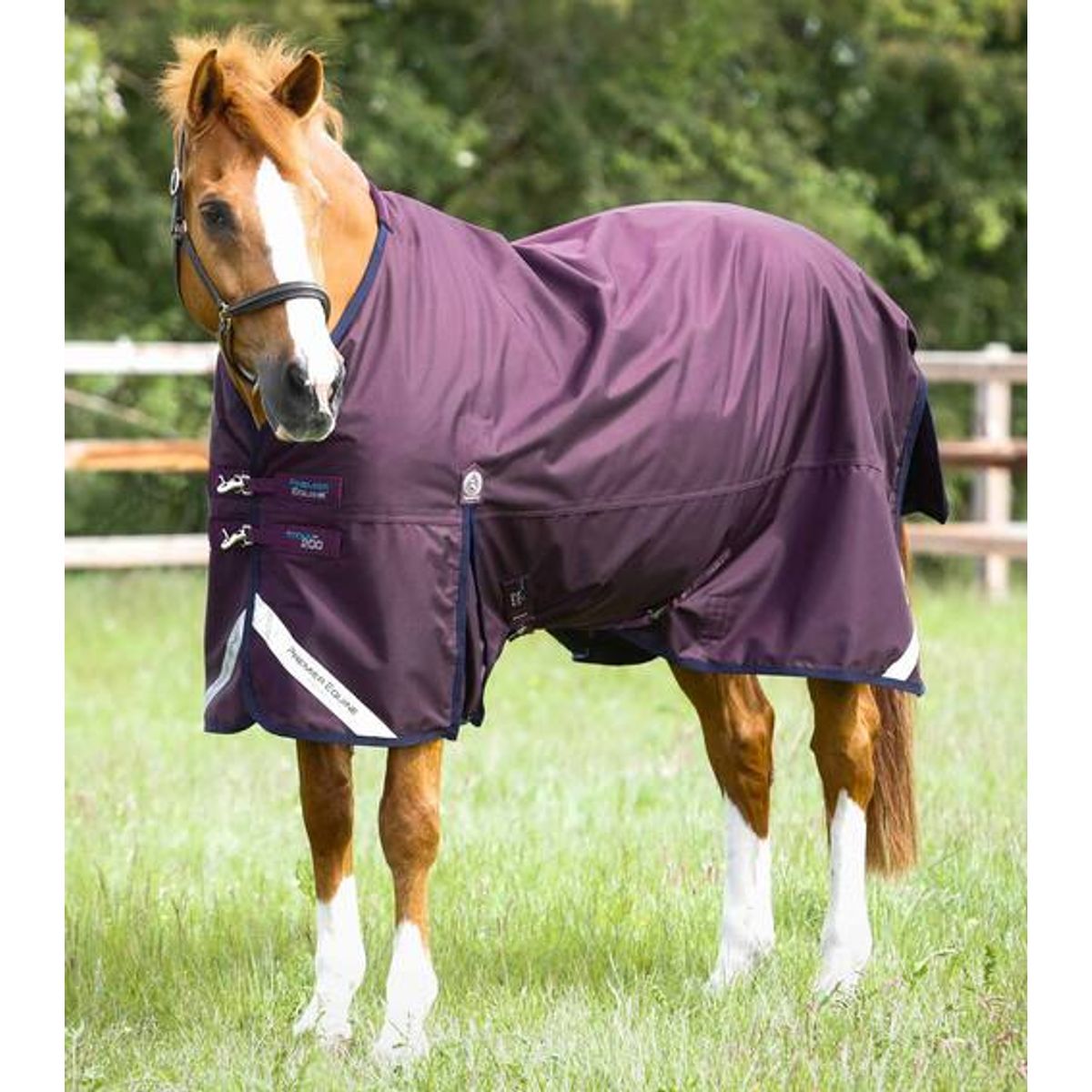 Premier Equine Titan 200 Original Turnout dækken - Lilla - 6,3" (140cm)