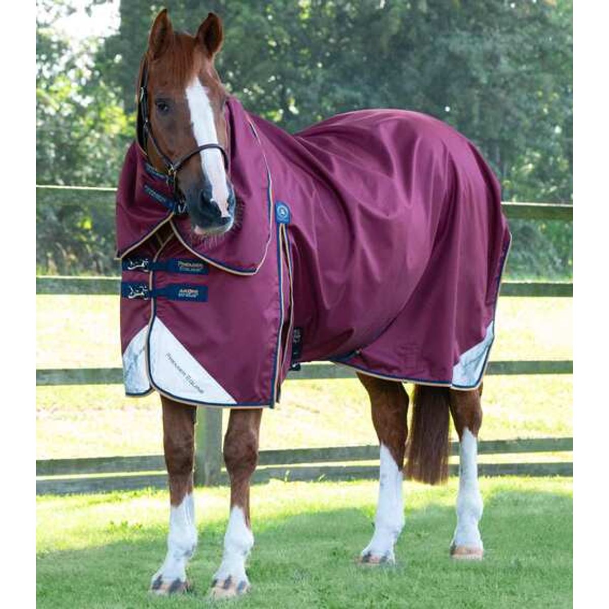 Premier Equine Akoni Stratus dækken med aftagelig hals - 0g - Vinrød, 5,6" (125cm)