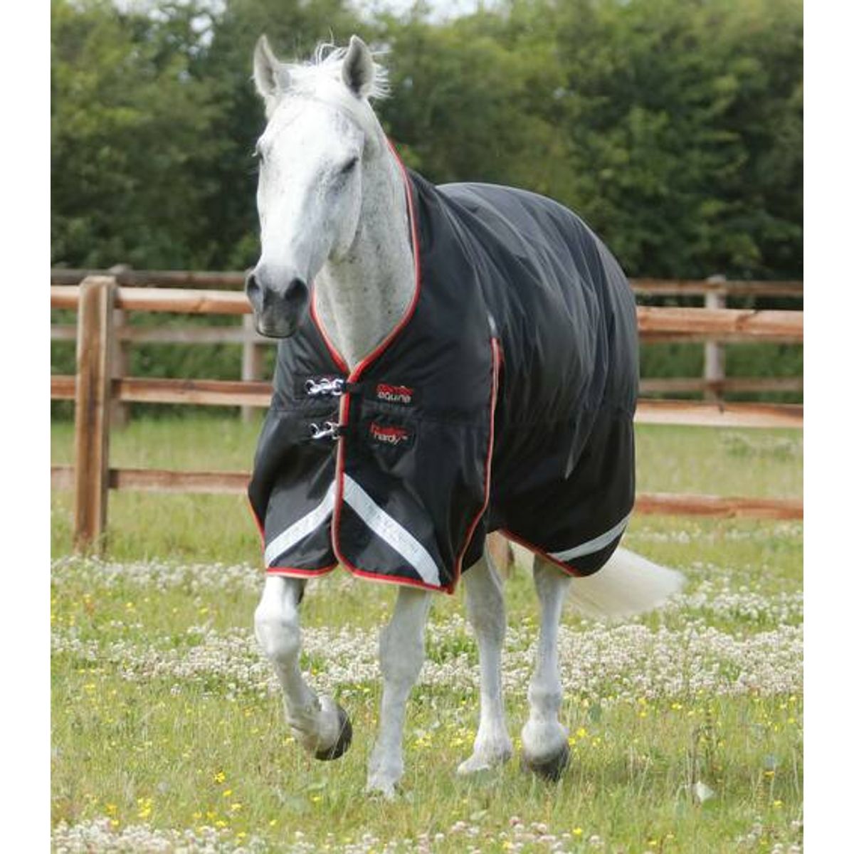 Premier Equine Buster Hardy dækken 100g med høj hals - Sort - 6,6 145cm