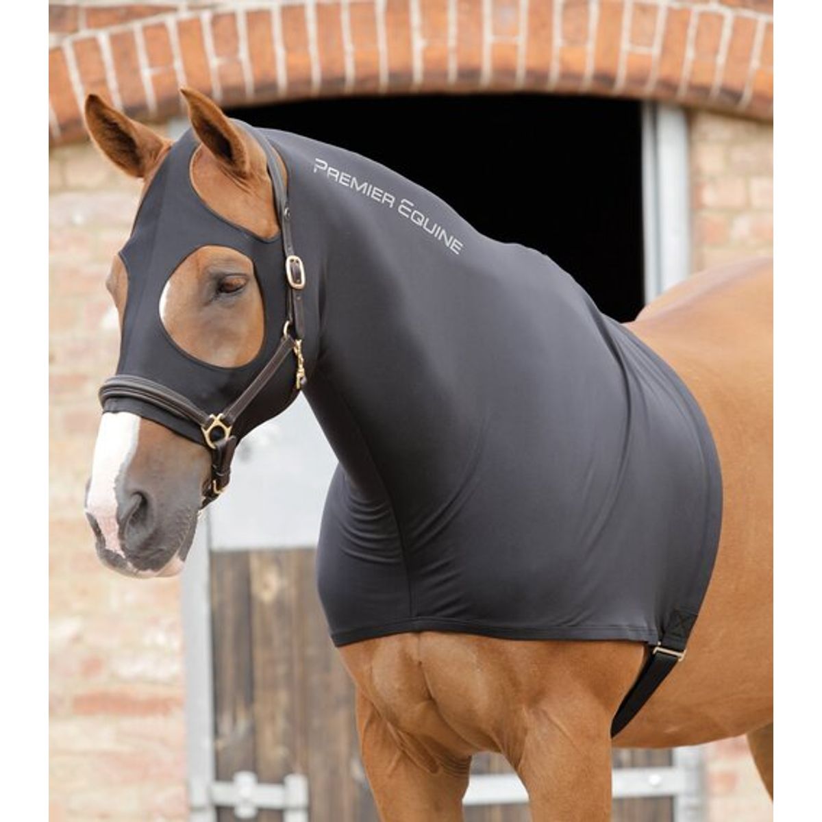 Premier Equine Strech Hood - M