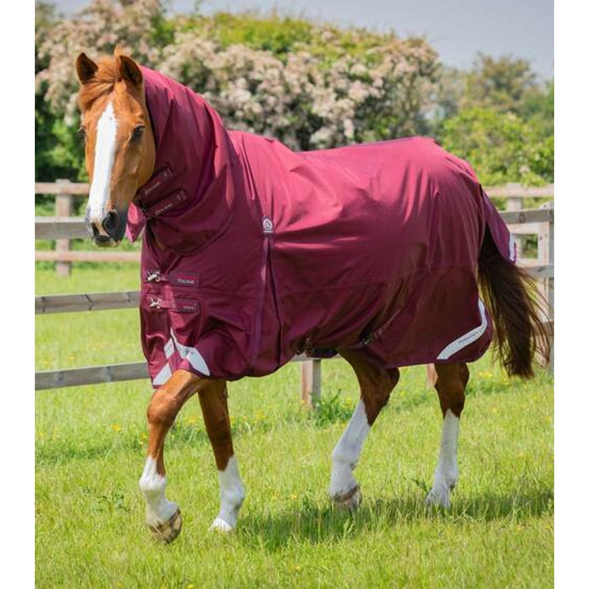 Premier Equine Buster Storm Combo 90g dækken - Burgundy - 5,9" (130cm)