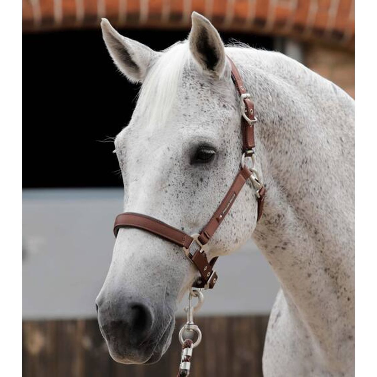 Premier Equine nylongrime med foer - Brun, Full