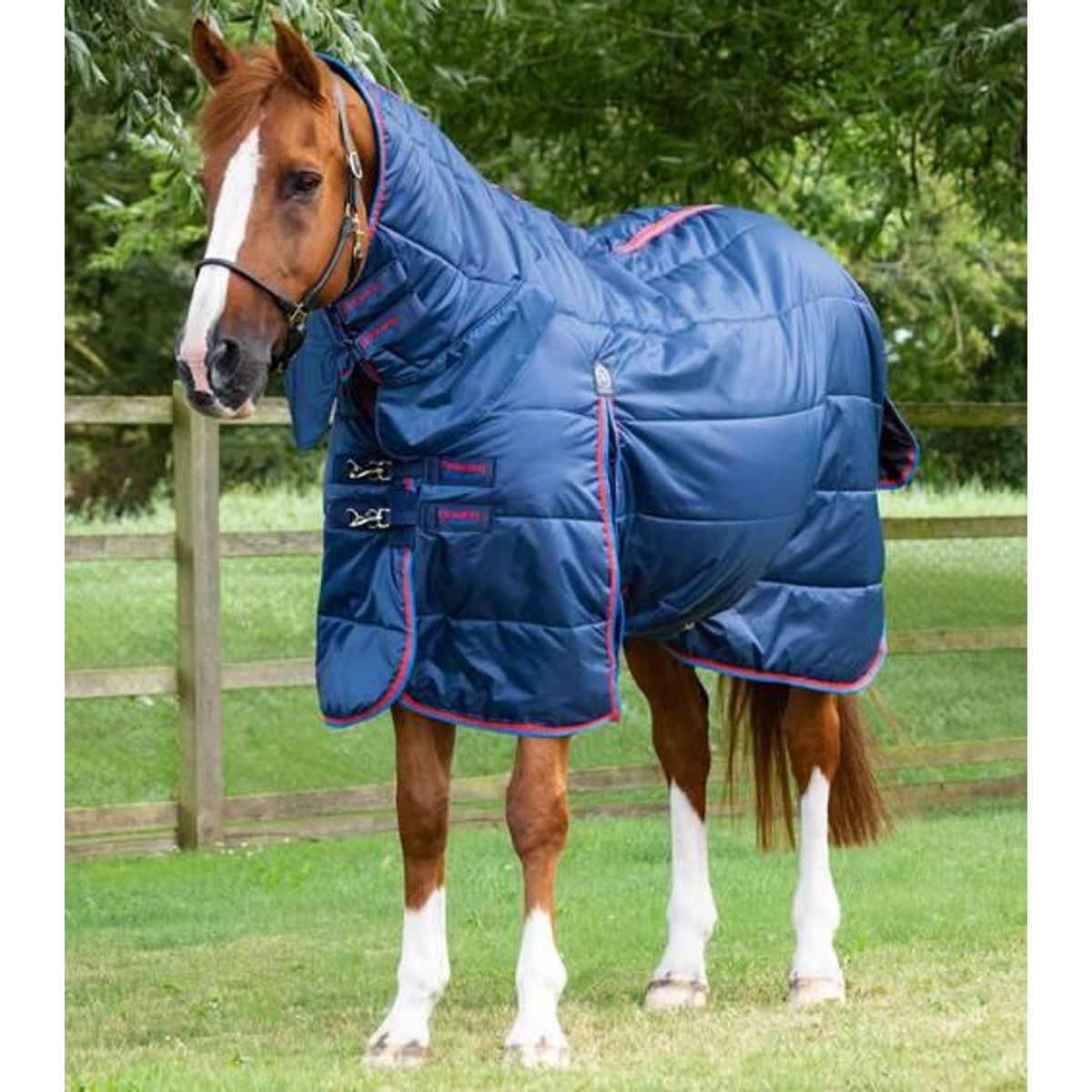 Premier Equine Combo stald dækken 200g - Navy, 6,3" (140cm)