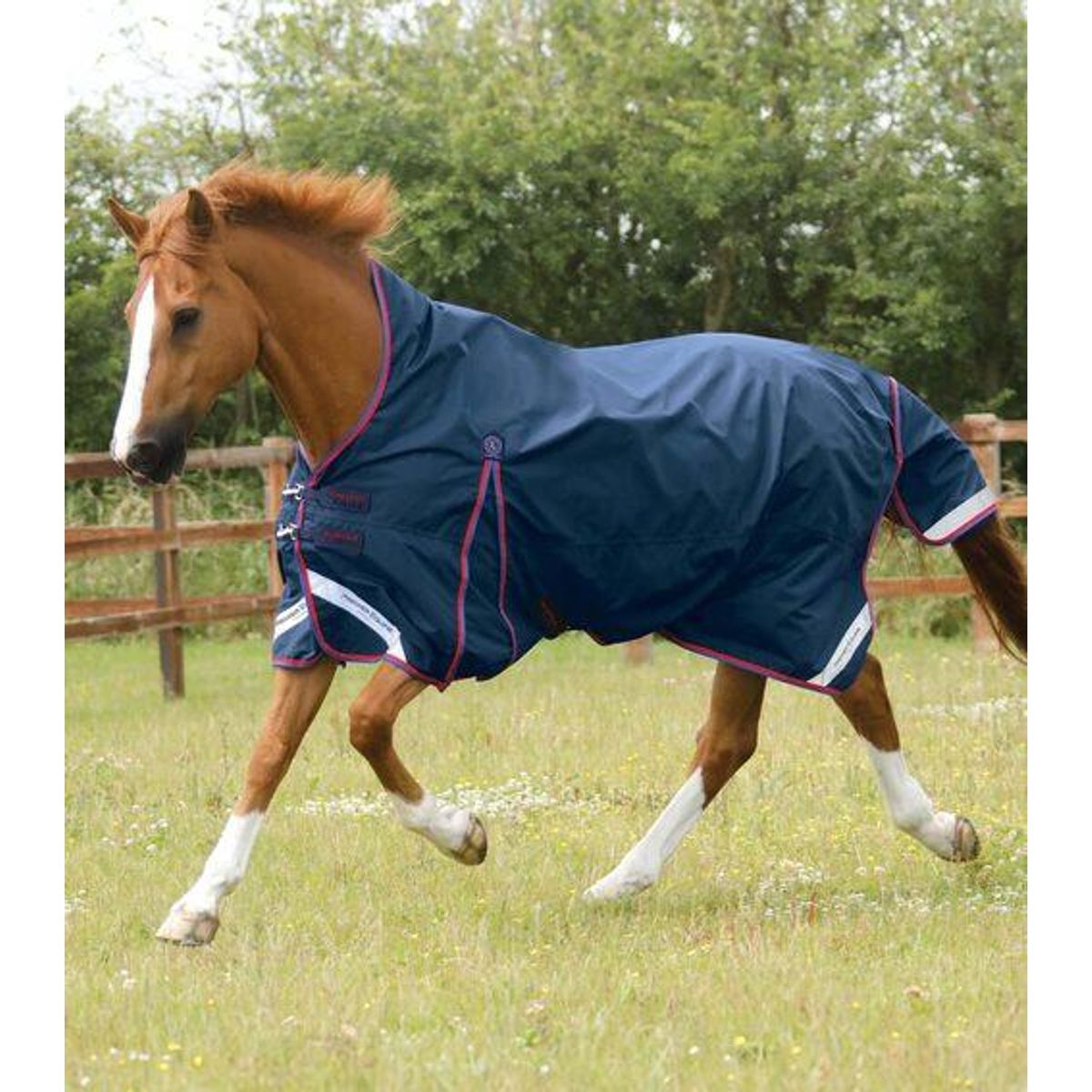 Premier Equine Buster Hardy Turnout dækken 0g - Wither Pressure Relief - 7,3" (165cm), Navy