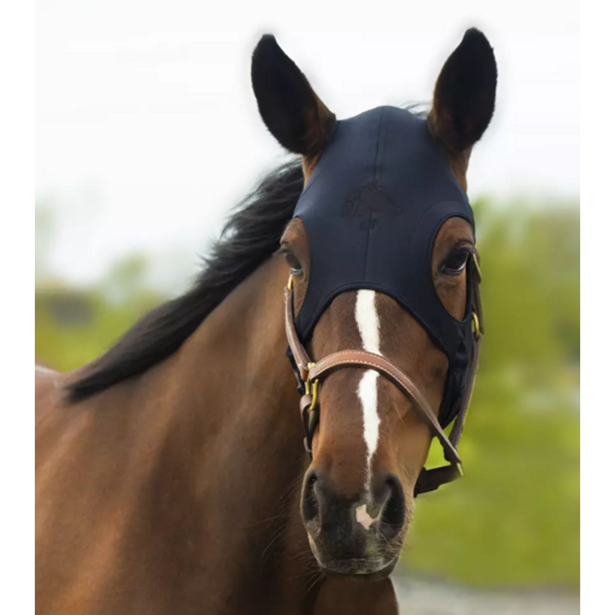 Fenwick Equestrian Liquid Titanium® maske - Karabinlukning - XS