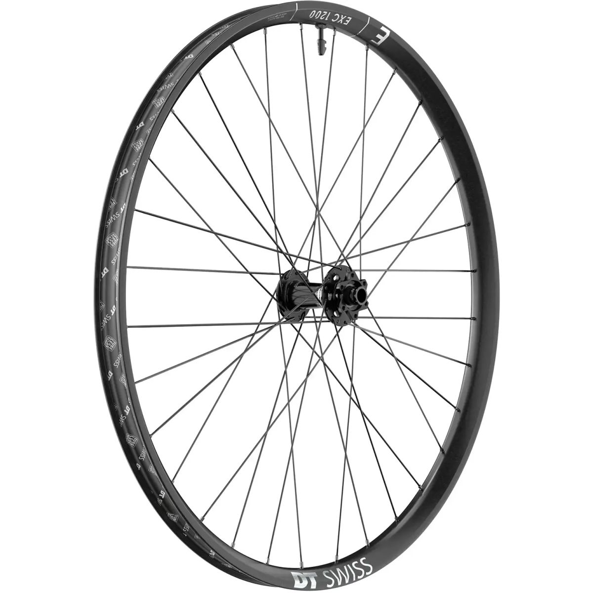 DT Swiss Wheel EXC 1200 Classic 22 29" Front