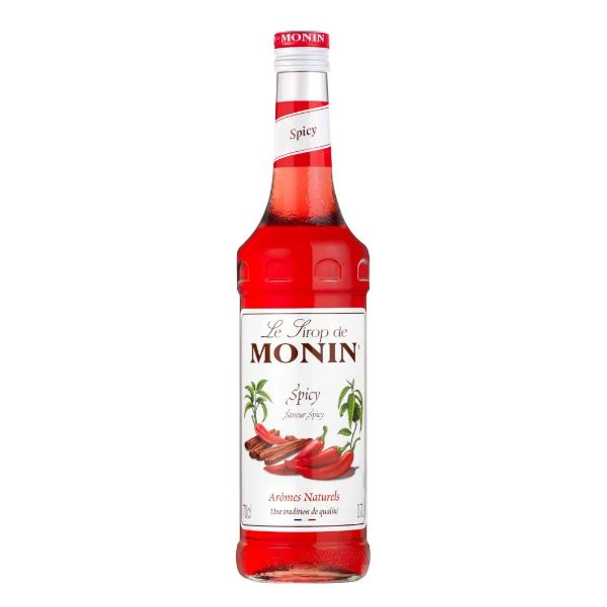 Monin Spicy Syrup Fl 70