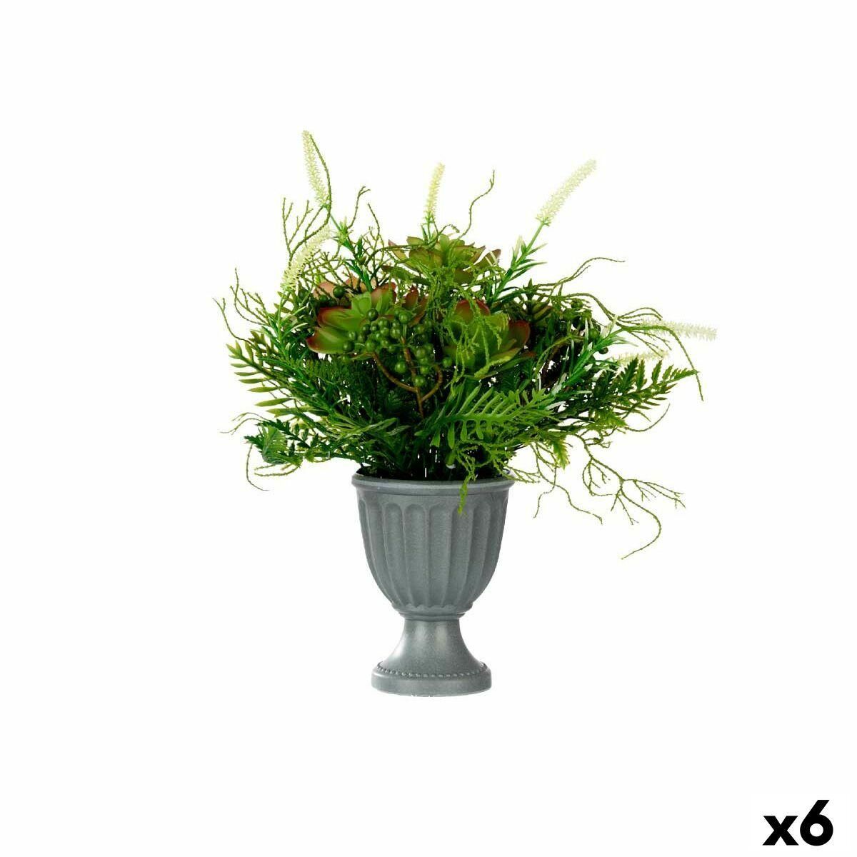 Dekorativ plante Vinglas Plastik 21 x 30 x 21 cm (6 enheder)