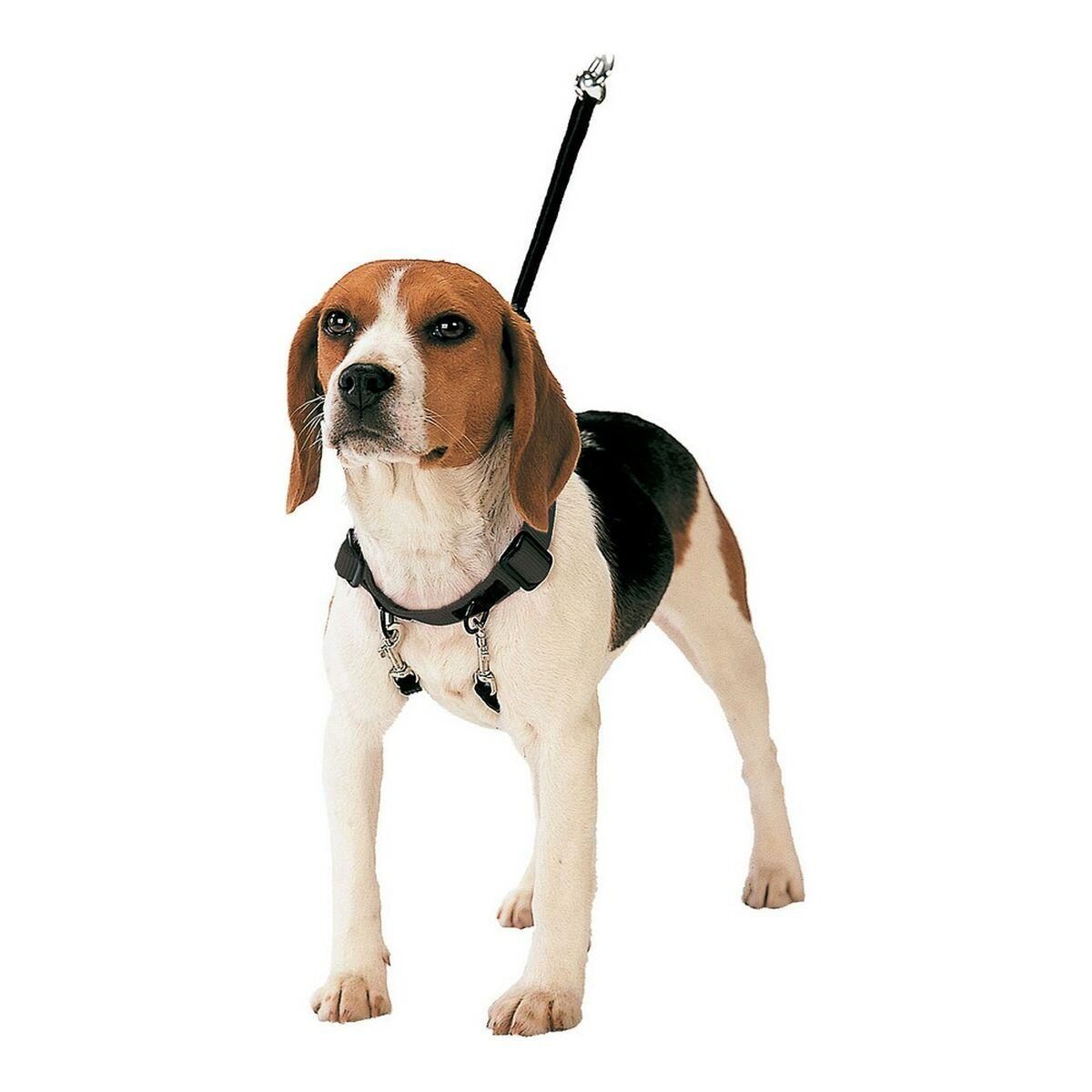 Hundesele Gloria 30-42 cm Størrelse M