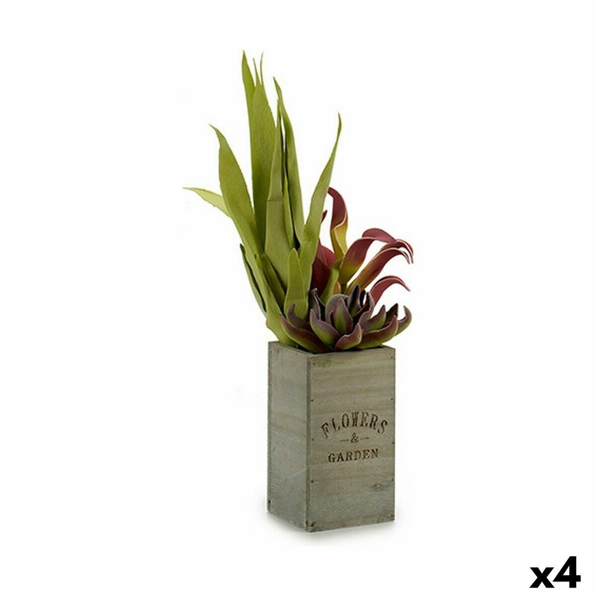 Dekorativ plante Flowers Garden Brun Grøn 10 x 50 x 10 cm (4 enheder)