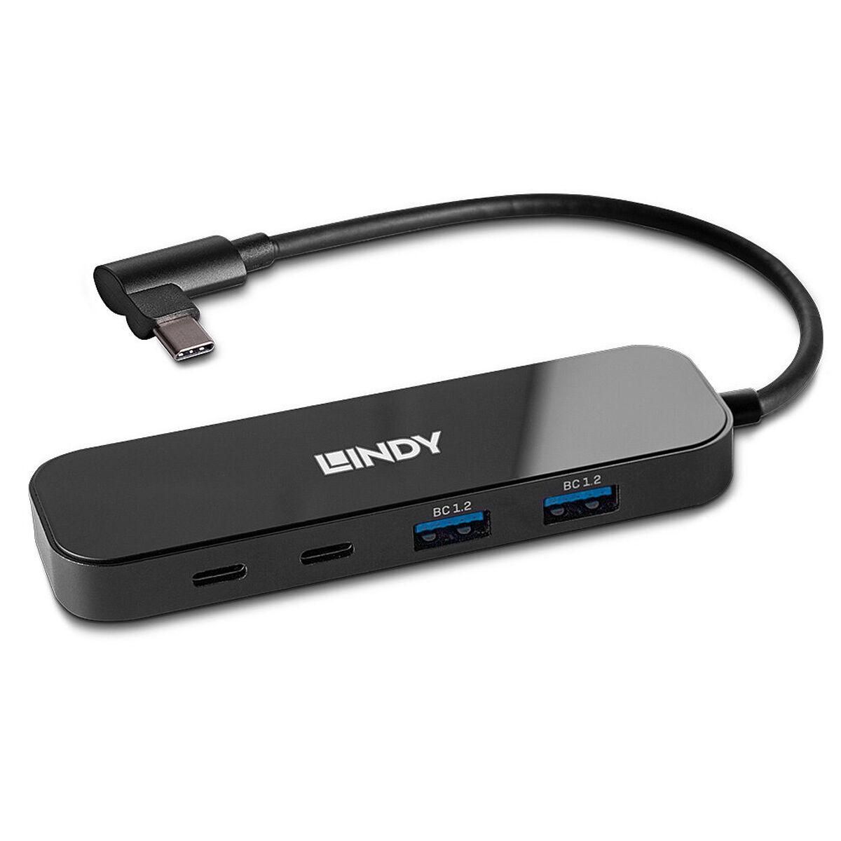 USB Hub LINDY Multifarvet