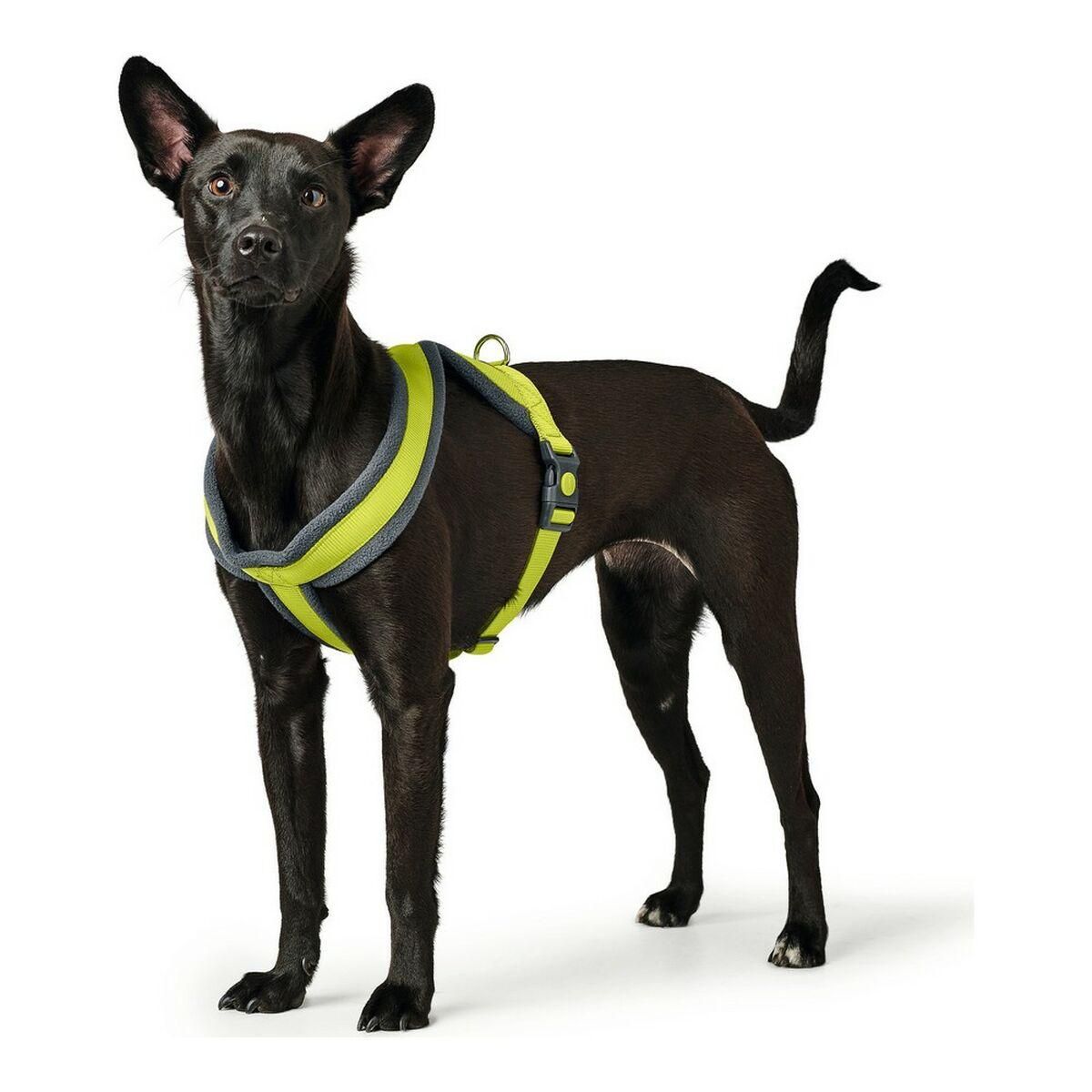 Hundesele Hunter London Comfort XS-S 39-47 cm Lime