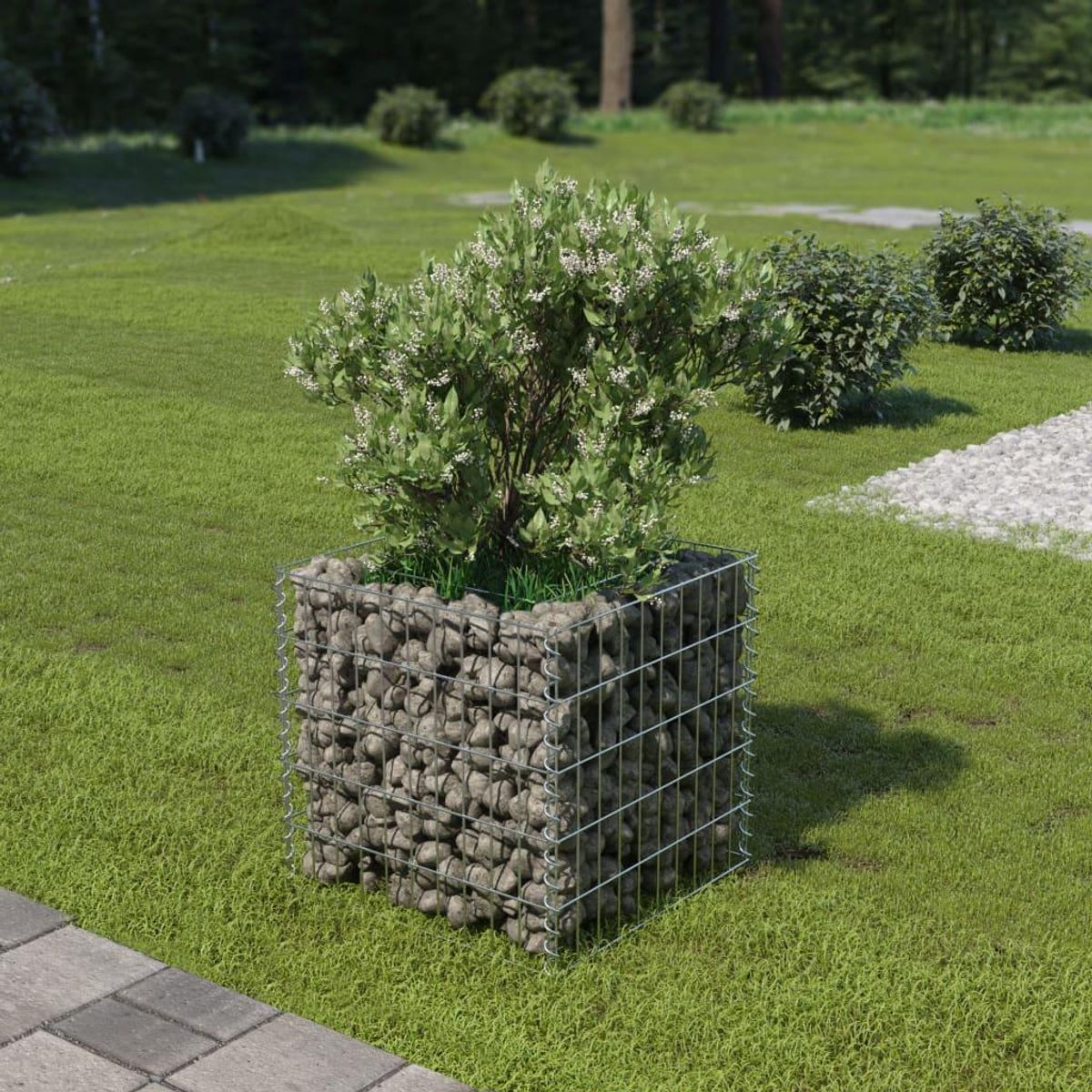 Gabion-højbed 50x50x50 cm galvaniseret stål