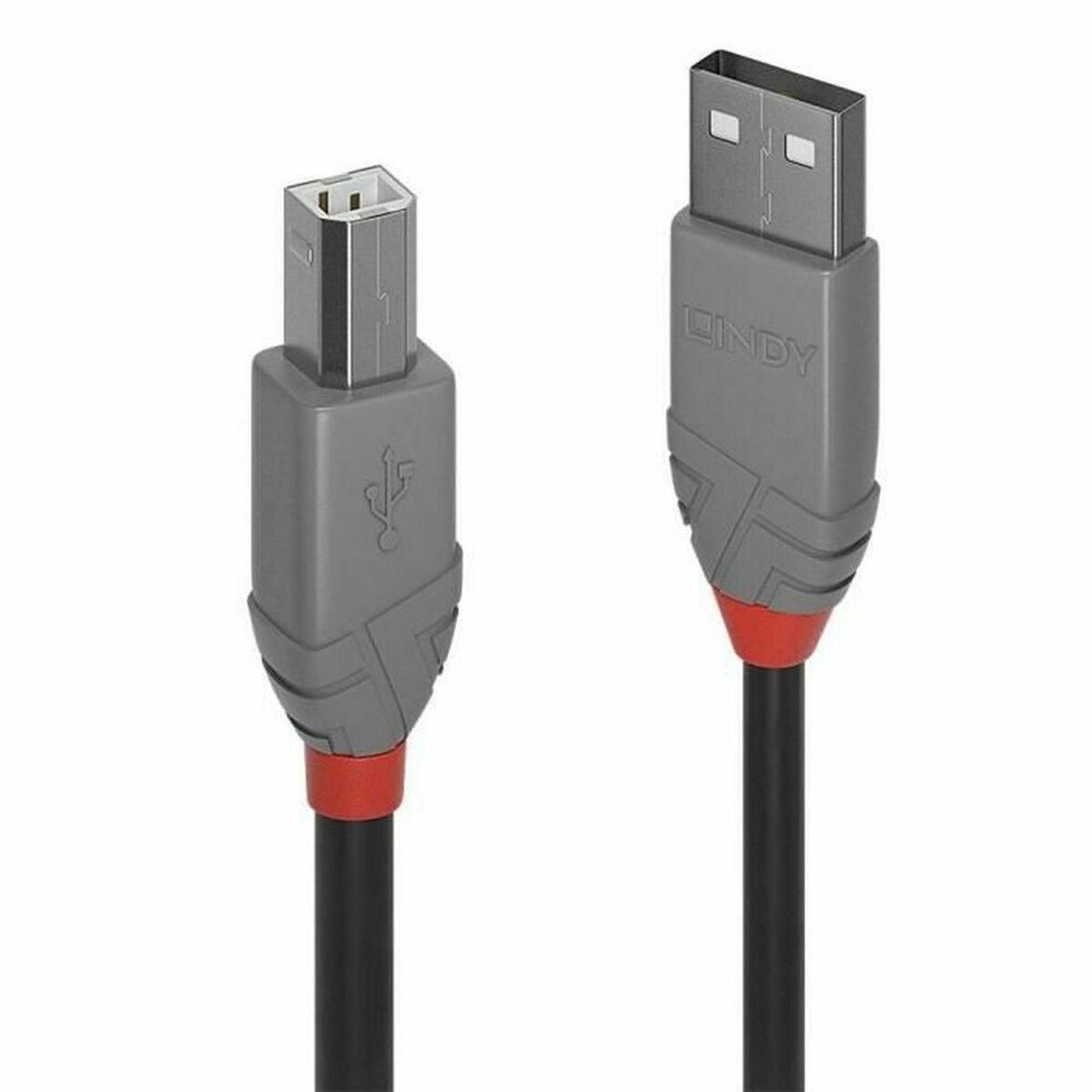 USB A til USB B-kabel LINDY 36674 3 m Grå