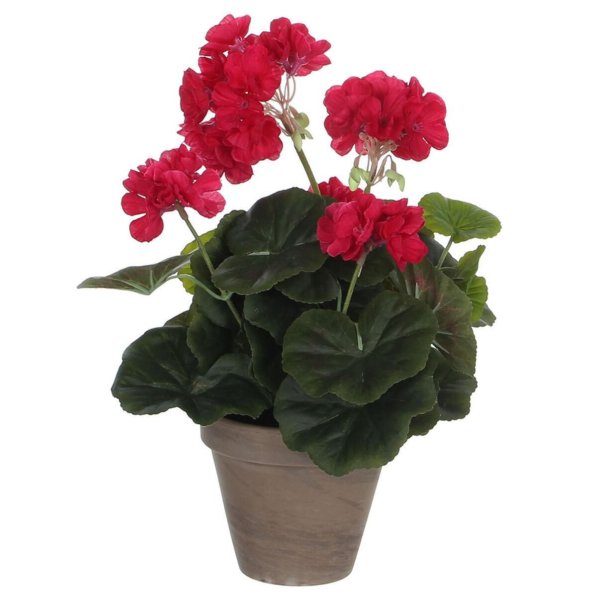 Dekorativ plante Mica Decorations 11,5 x 33 cm Pink PVC