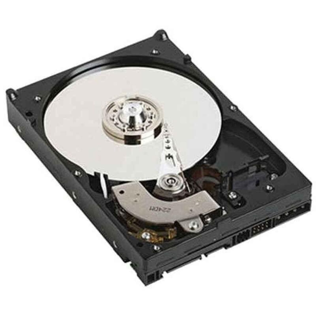 Harddisk Dell NPOS 3,5" 1 TB 7200 rpm