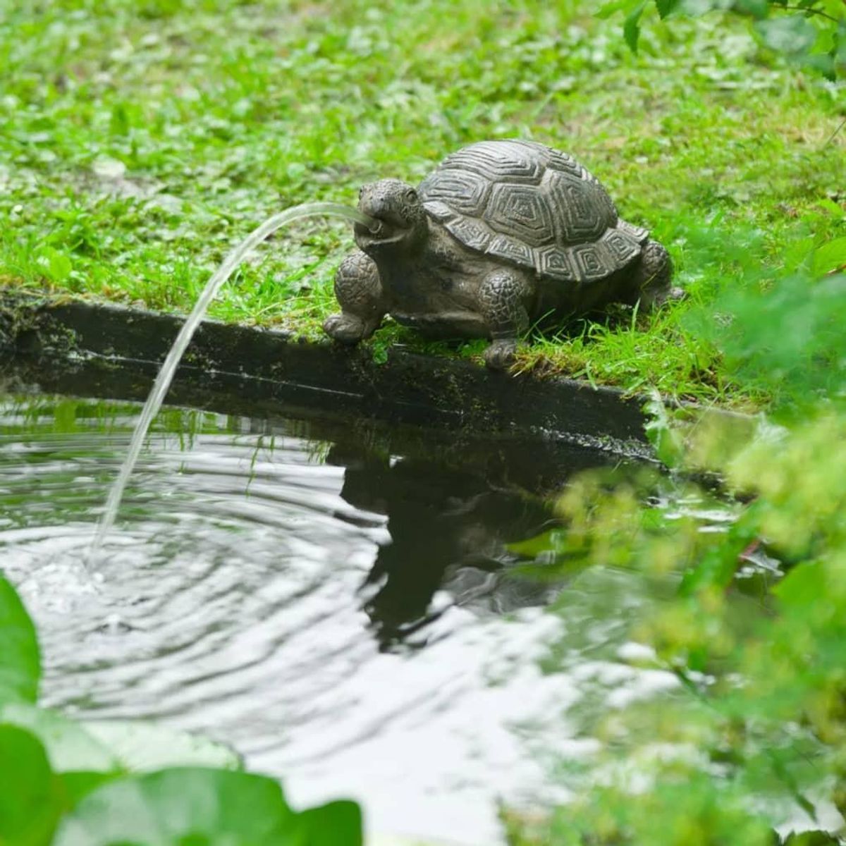 vandsprøjtende havedamsfigur skildpadde