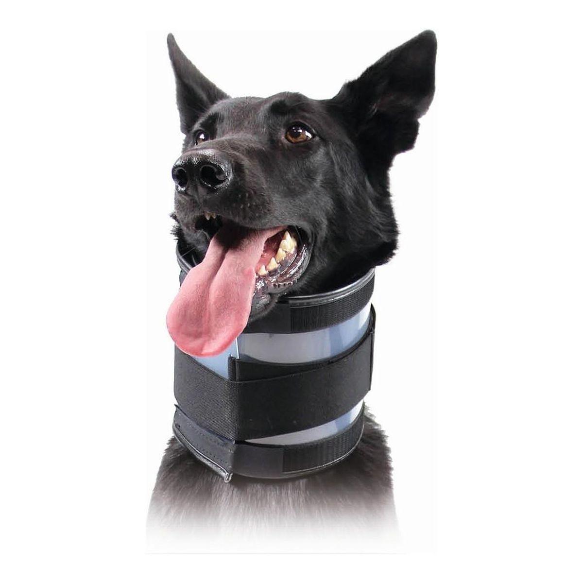 Cervikal krave til hunde KVP Sort (9-36 cm)