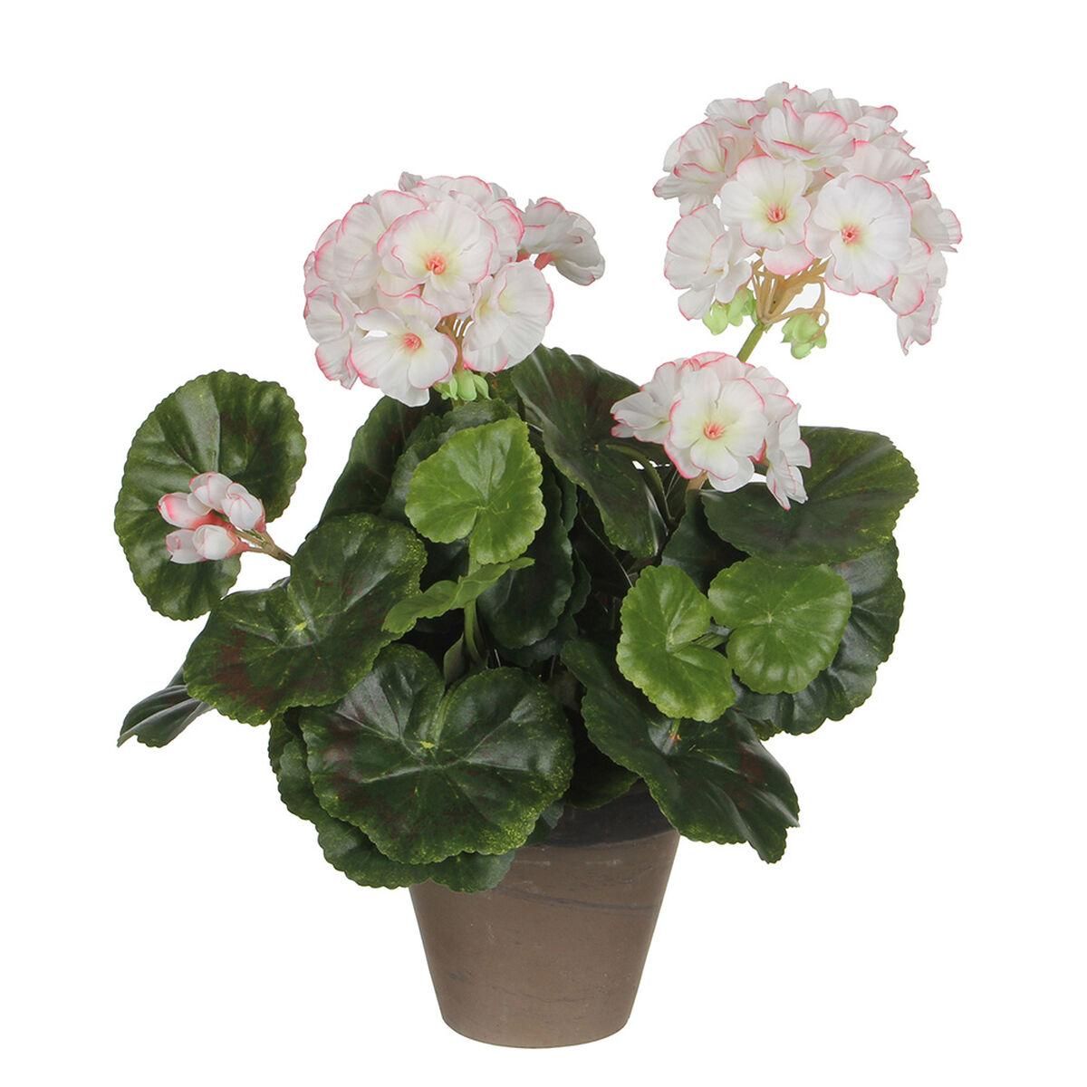 Dekorativ plante Mica Decorations PVC Geranium (11,5 x 33 cm)