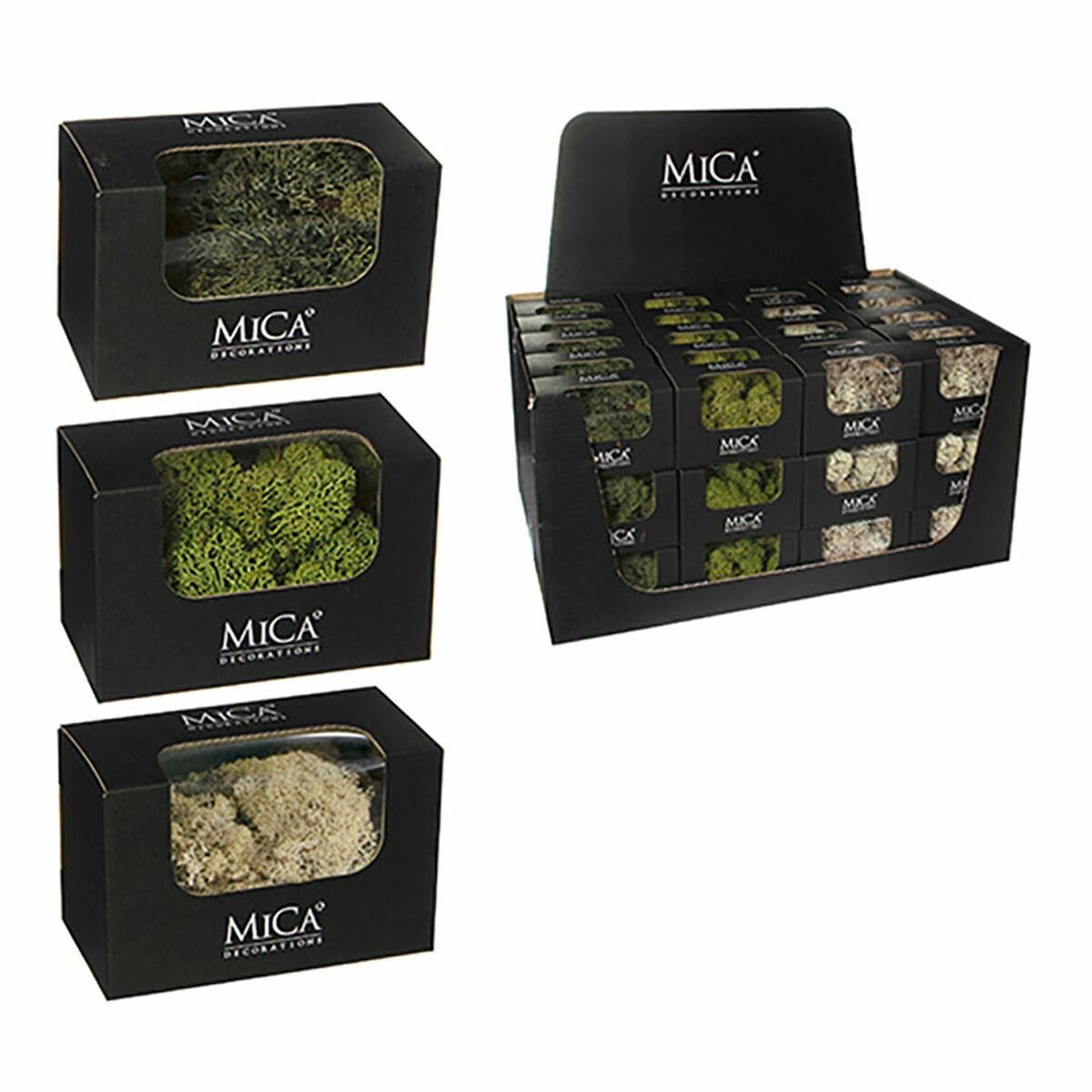 Dekorativ plante Mica Decorations 50 g Mosser