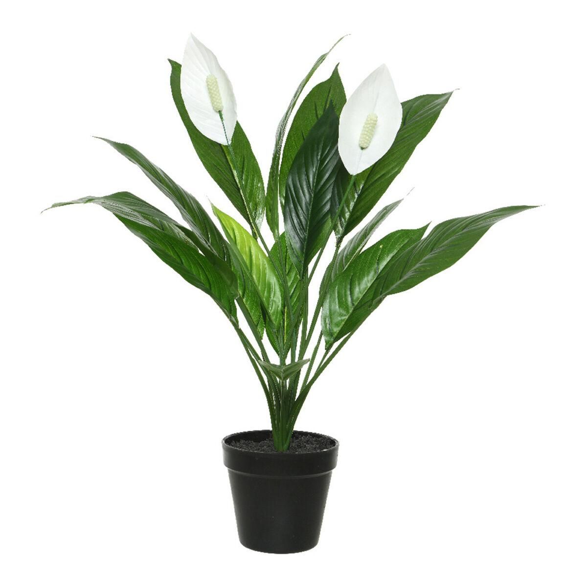 Dekorativ plante Mica Decorations Espatifilo PVC