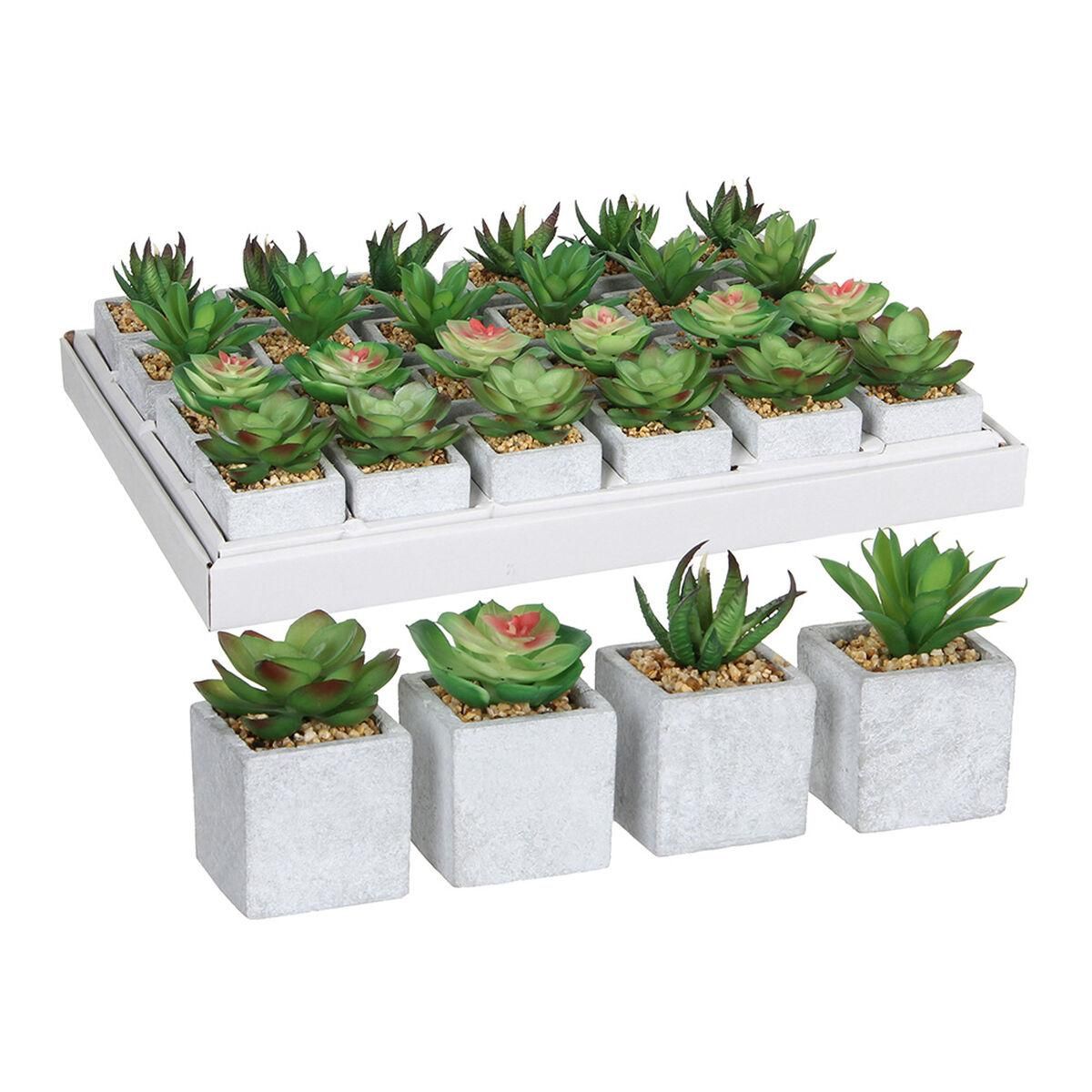 Dekorativ plante Mica Decorations 8 x 5 cm Grøn PVC Sukkulent