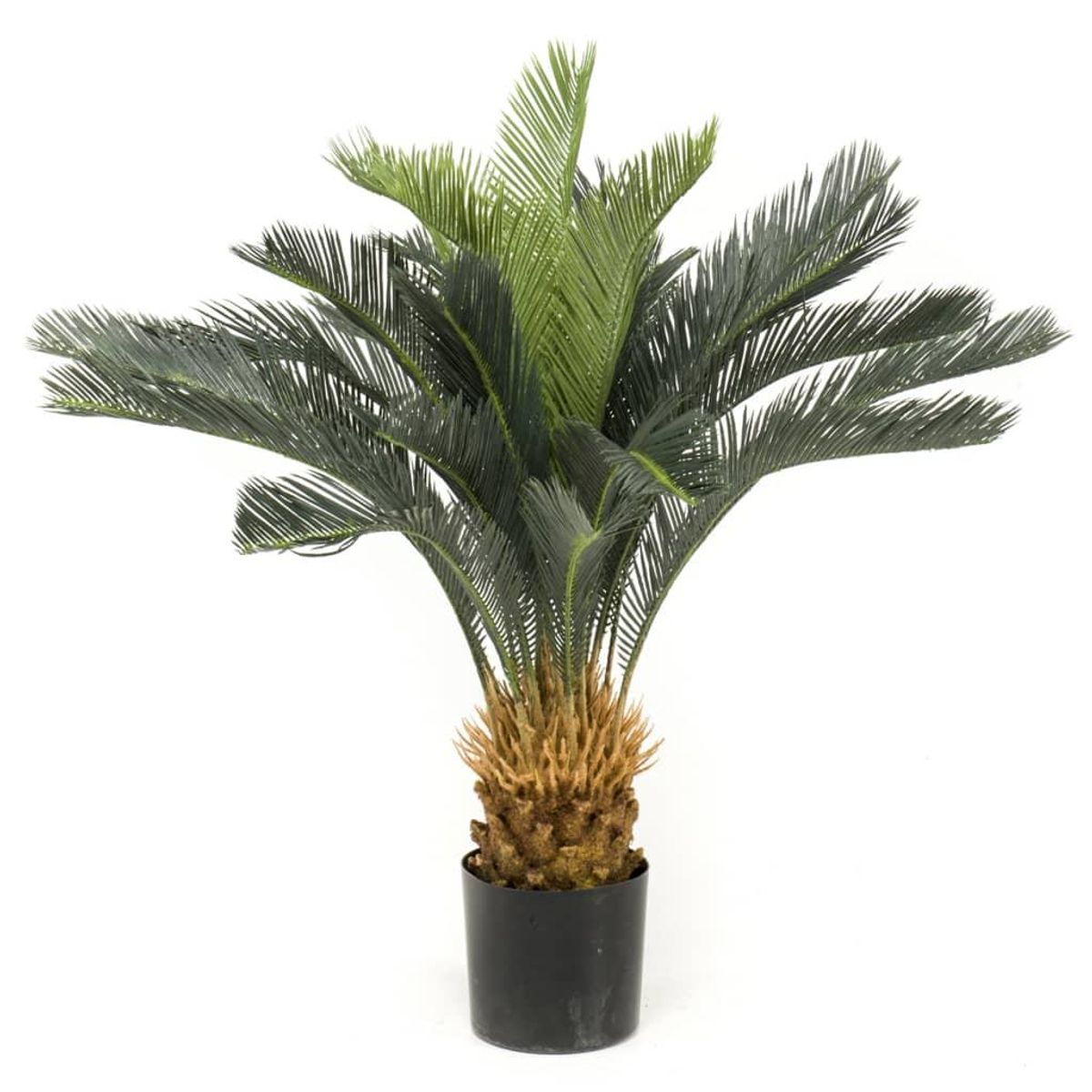 Emerald kunstigt Cycas Revoluta-træ i potte 80 cm