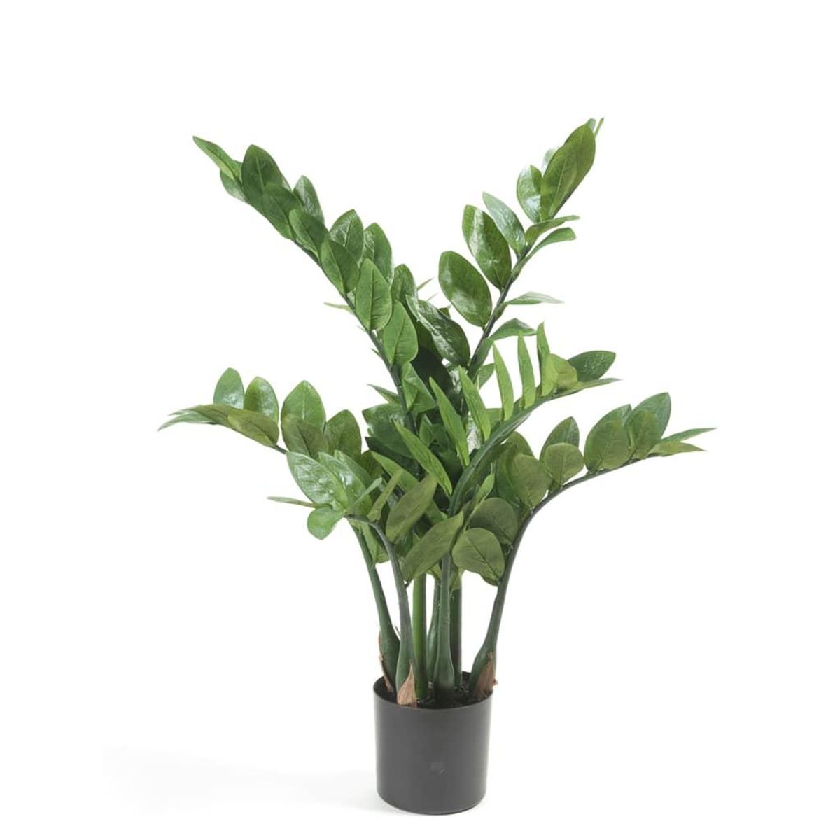 Emerald kunstig zamioculcas 70 cm