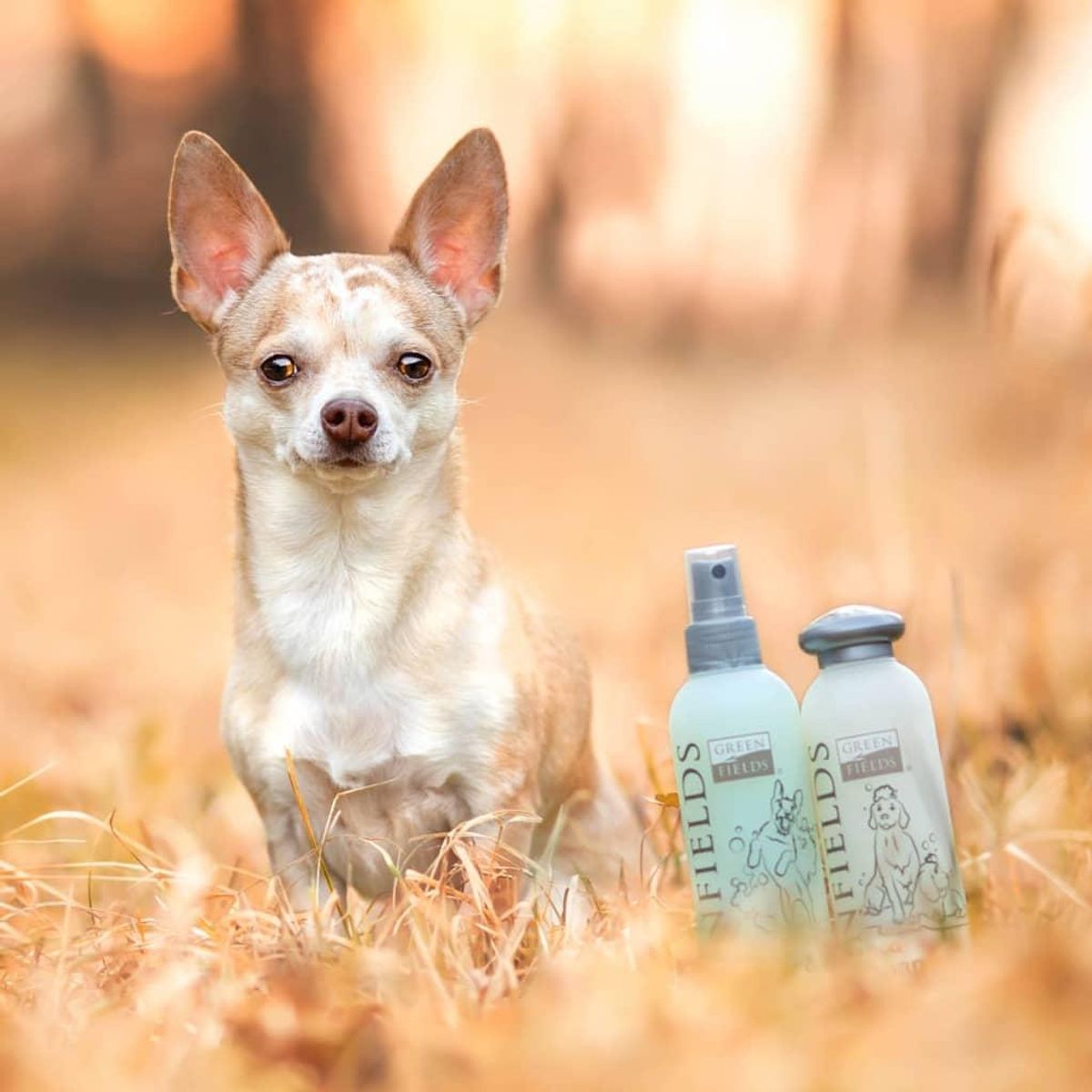 Greenfields plejesæt med hundeshampoo og spray 2x250 ml