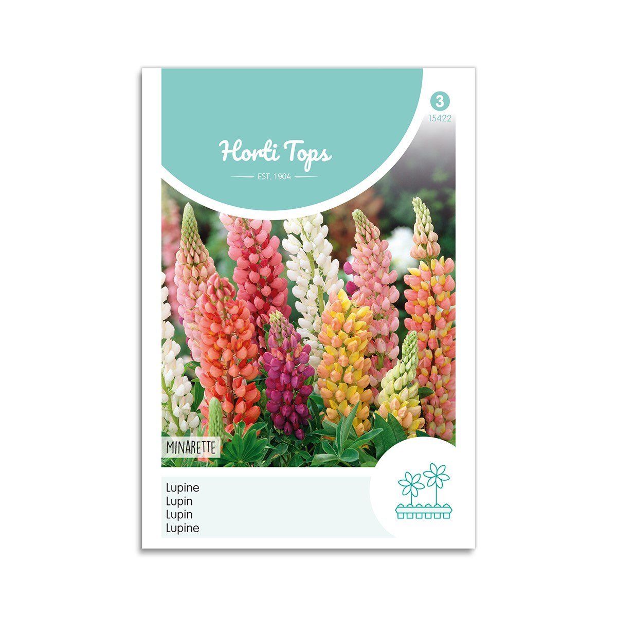 Lupin frø "Minarette mix" - Horti Tops