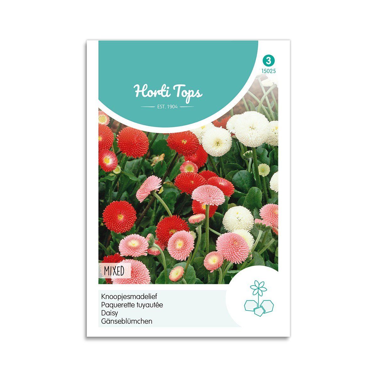 Tusindfryd frø "Bellis" - Horti Tops