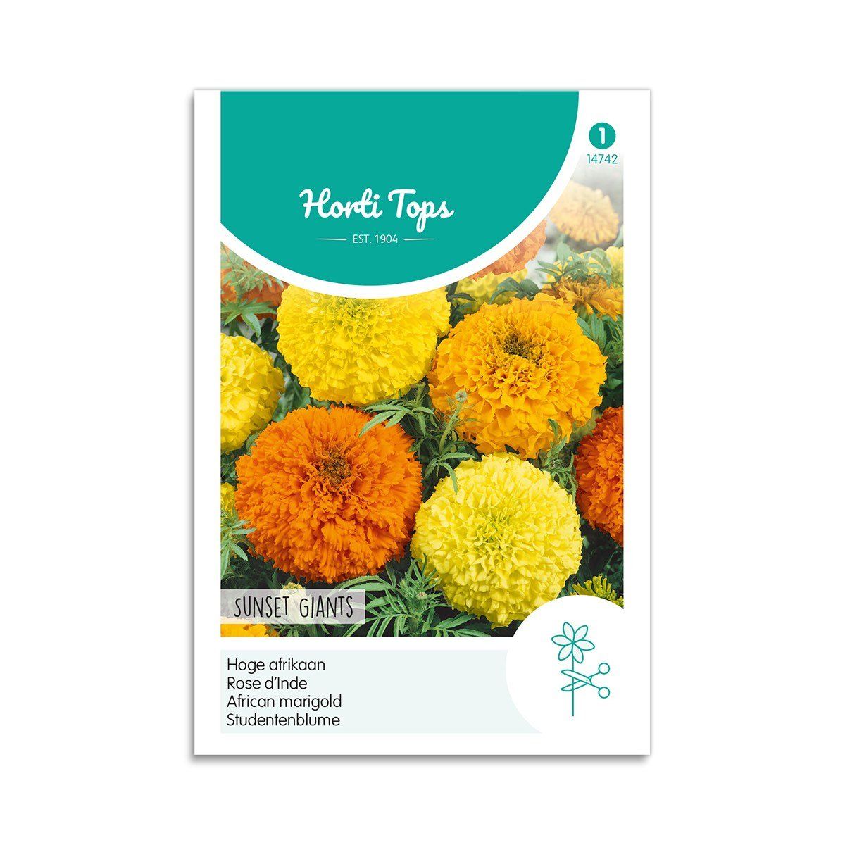 Tagetes frø "Sunset Giants" - Horti Tops