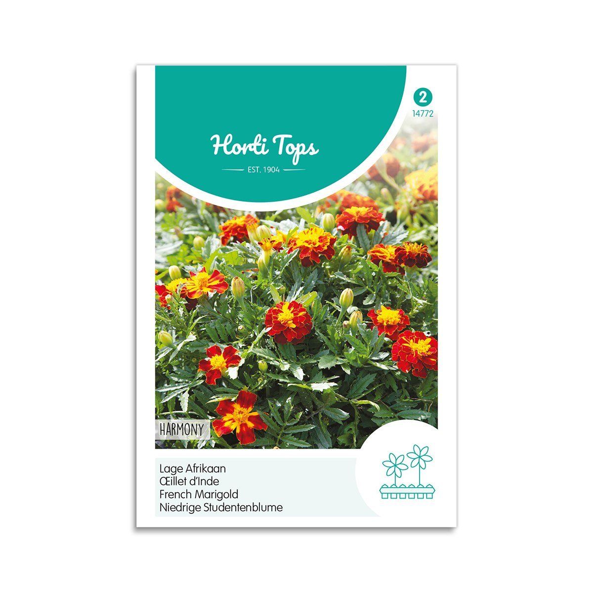 Tagetes frø "Harmony" - Horti Tops