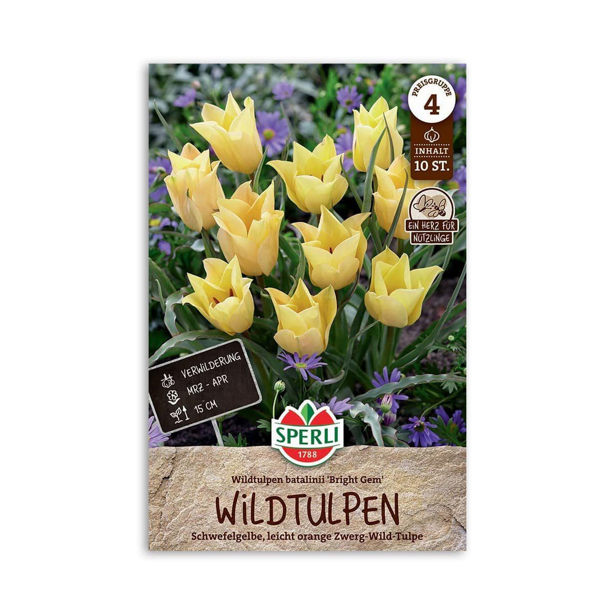 Tulipanløg Batalinii Bright Gem - 10 løg