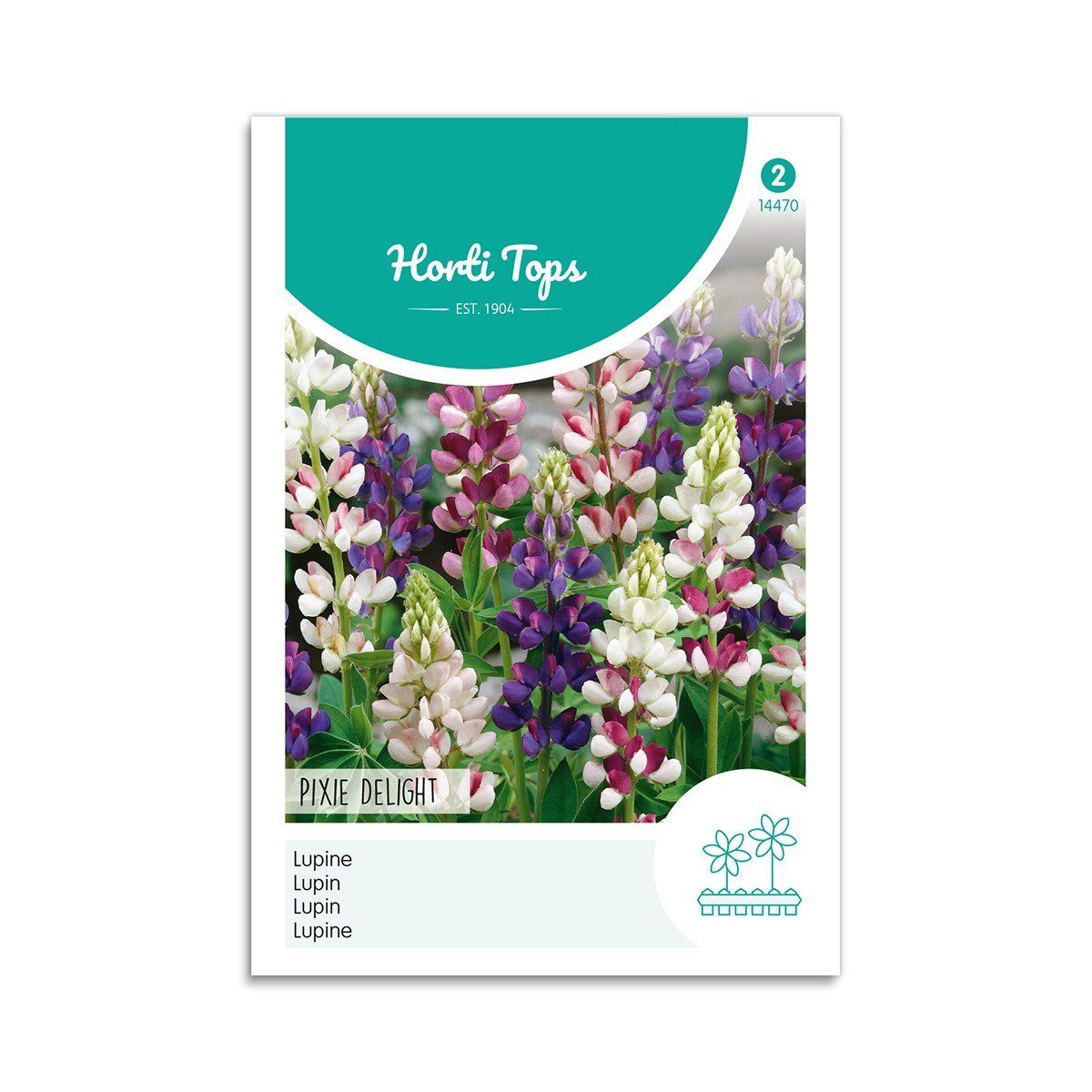 Lupin frø "Pixie delight" - Horti Tops