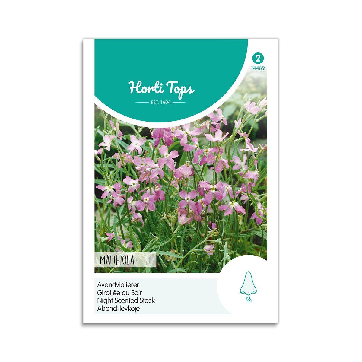 Levkøj frø "Matthiola pink" - Horti Tops