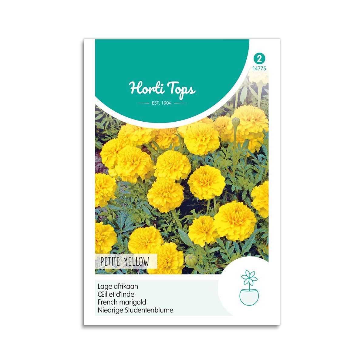 Tagetes frø "Petite Yellow" - Horti Tops