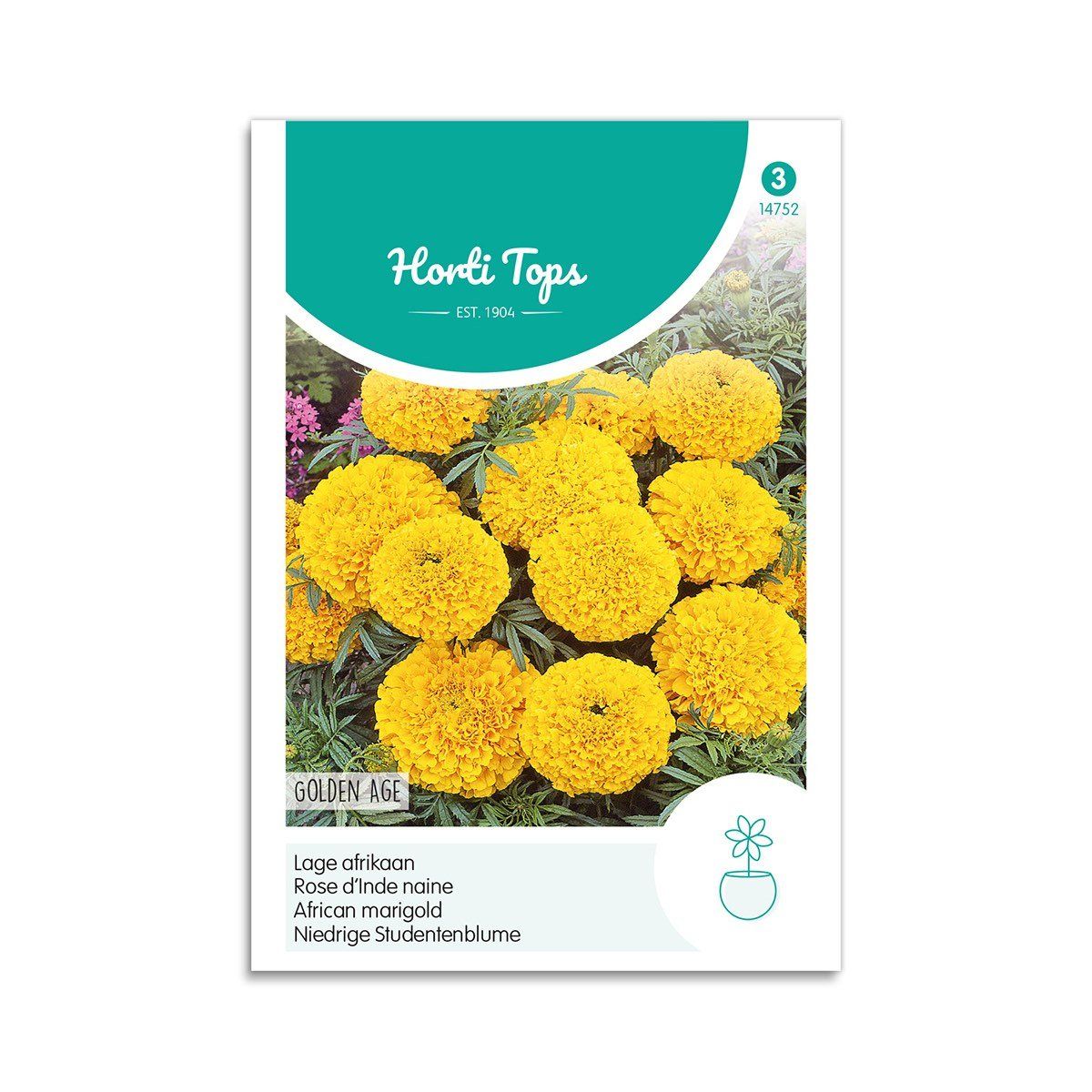 Tagetes frø "Golden Age" - Horti Tops